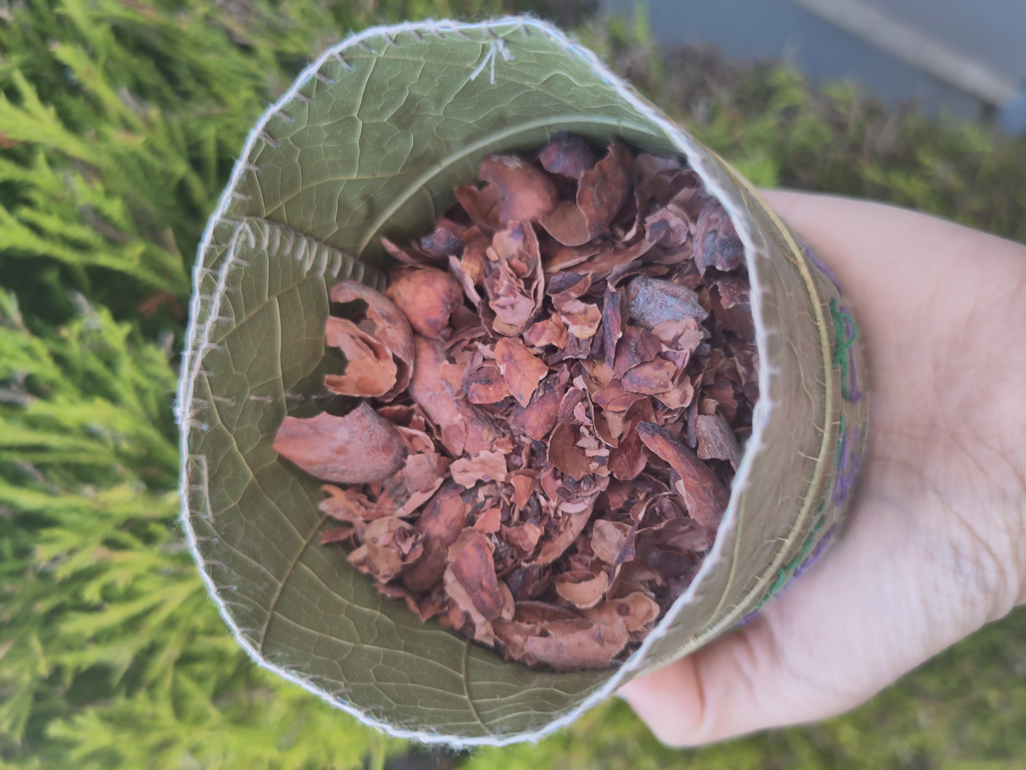 AYA Pacha Cacao Leaf Box