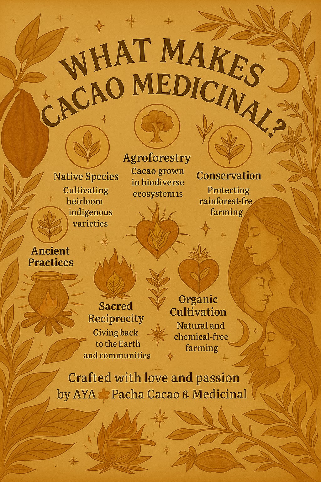 Nourishing Alchemy ® Cacao Blend