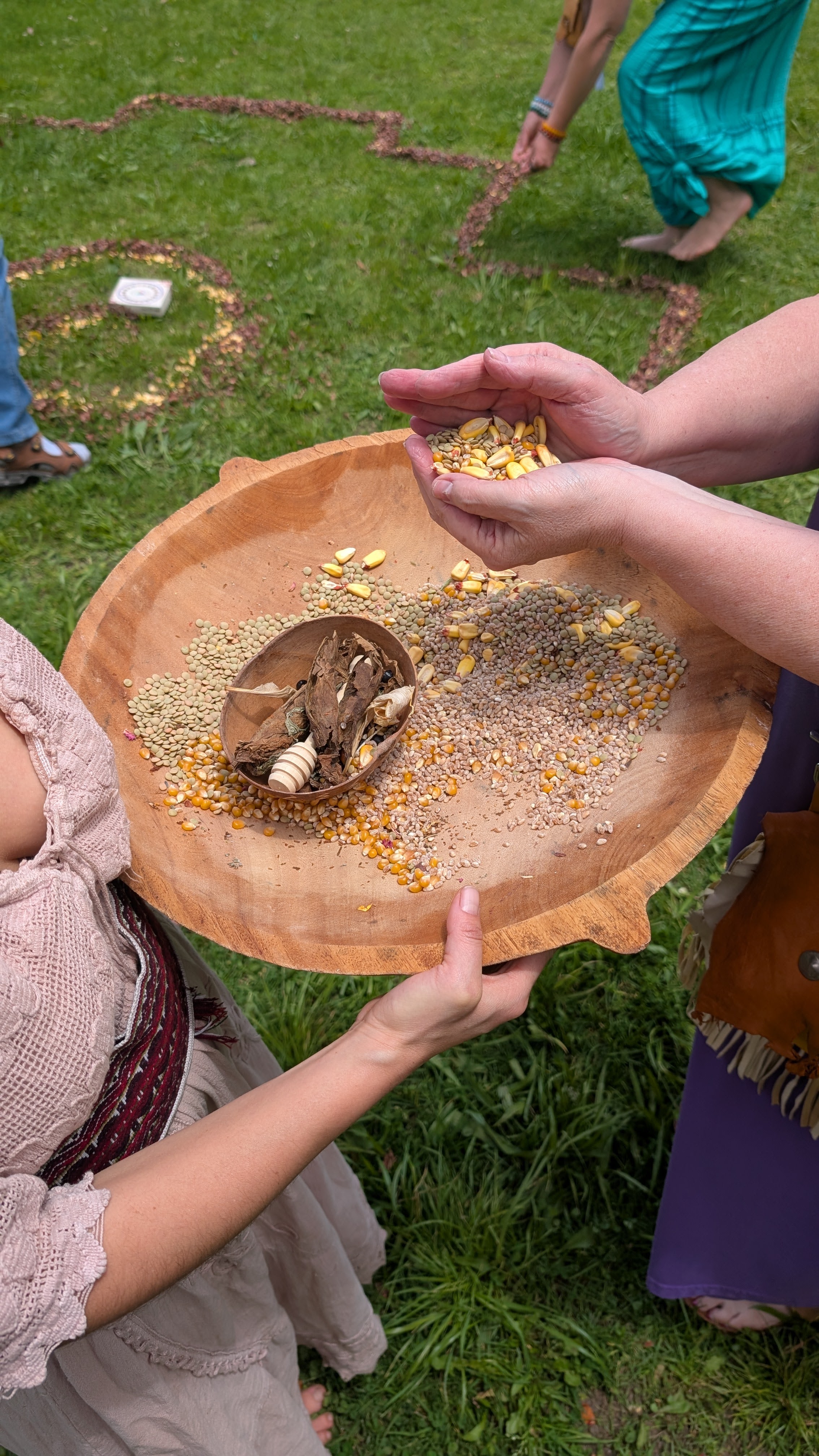 🌿✨ Guayusa & Cacao Day Retreat ✨🌿 A Sacred Offering by AYA 🌺 Pacha Cacao ®
