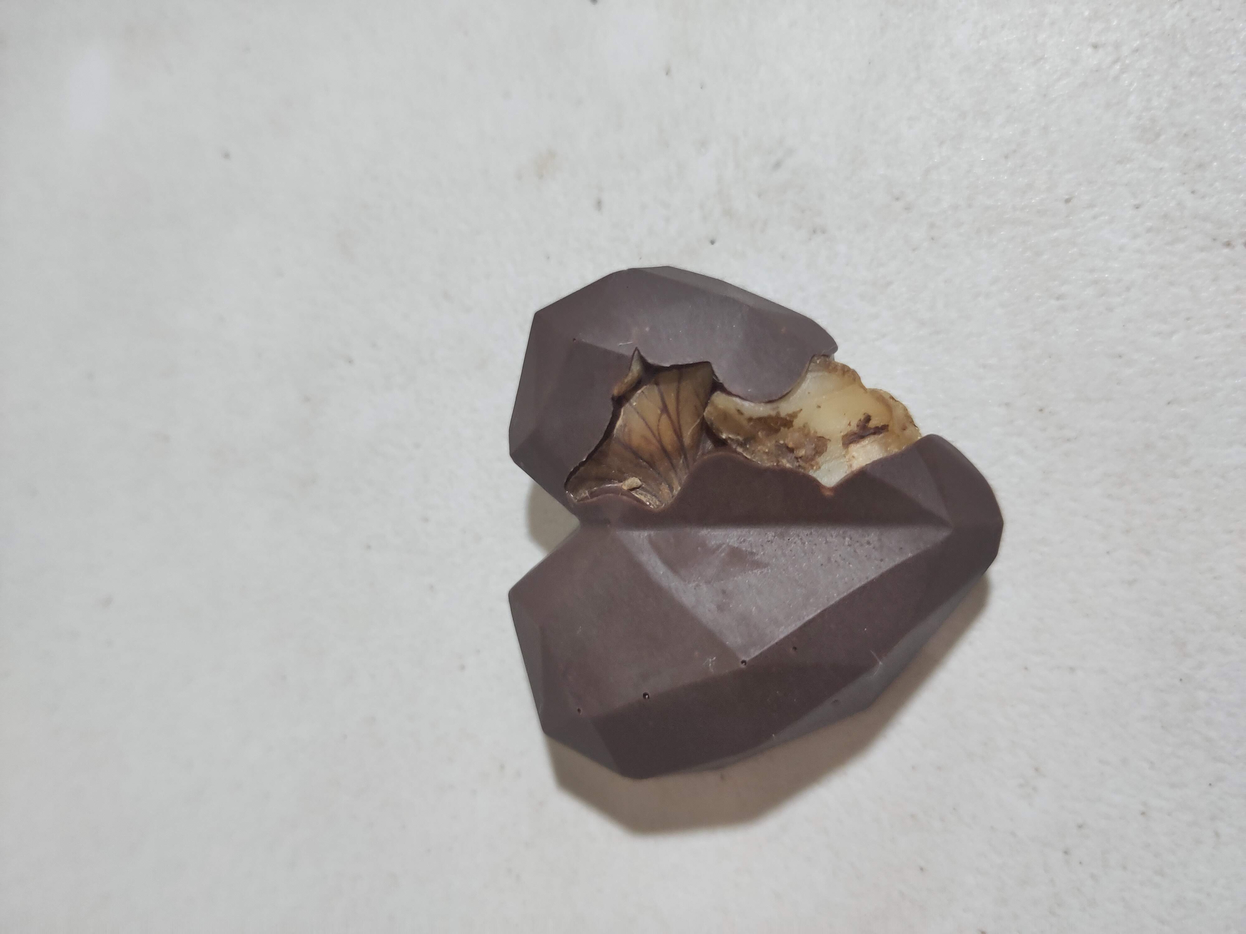 🜂 Bones Remineralizer · Capricorn Alchemy Blend 🜃