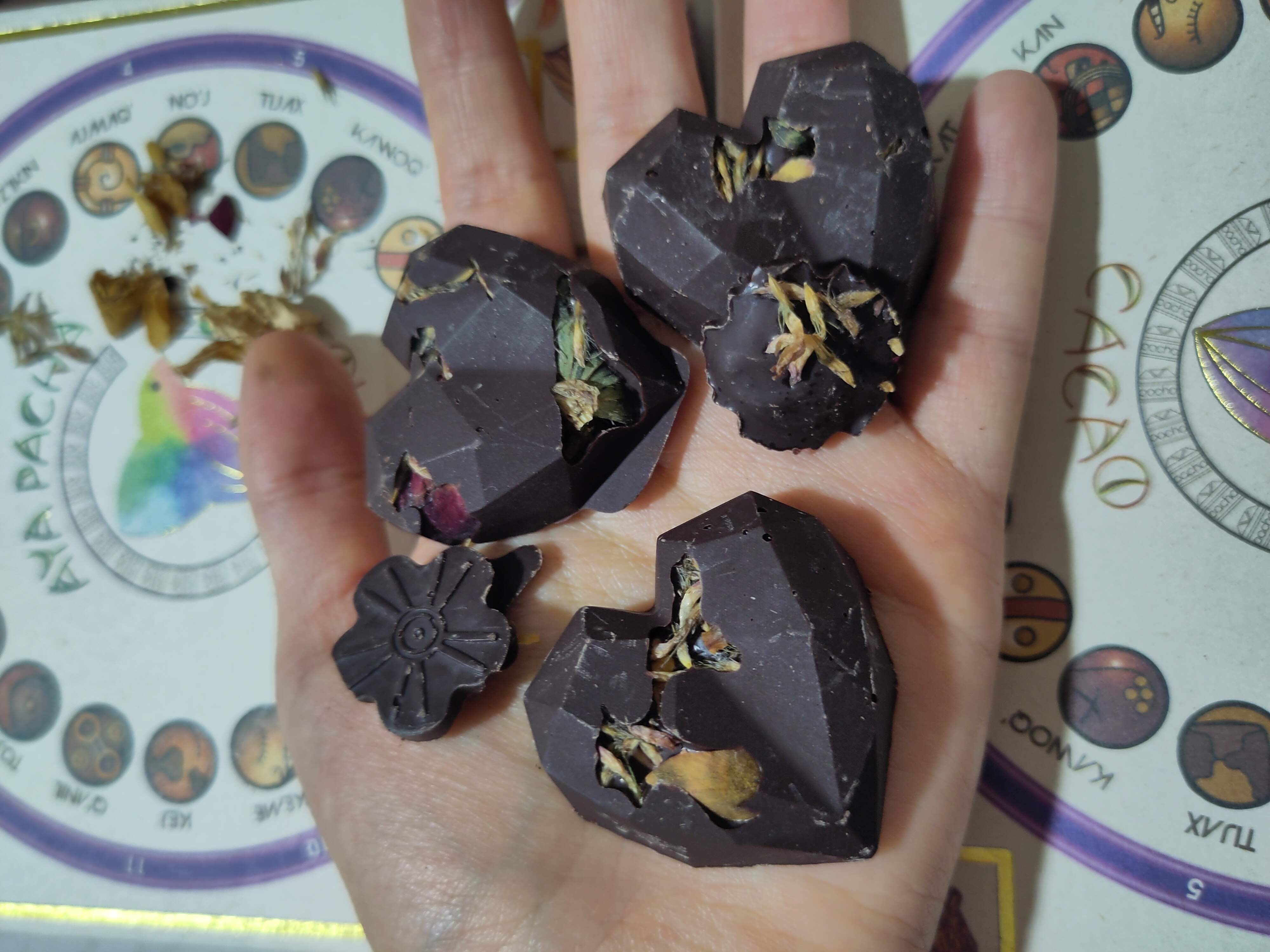 🜂 Conservation · Palo Santo 🜃 