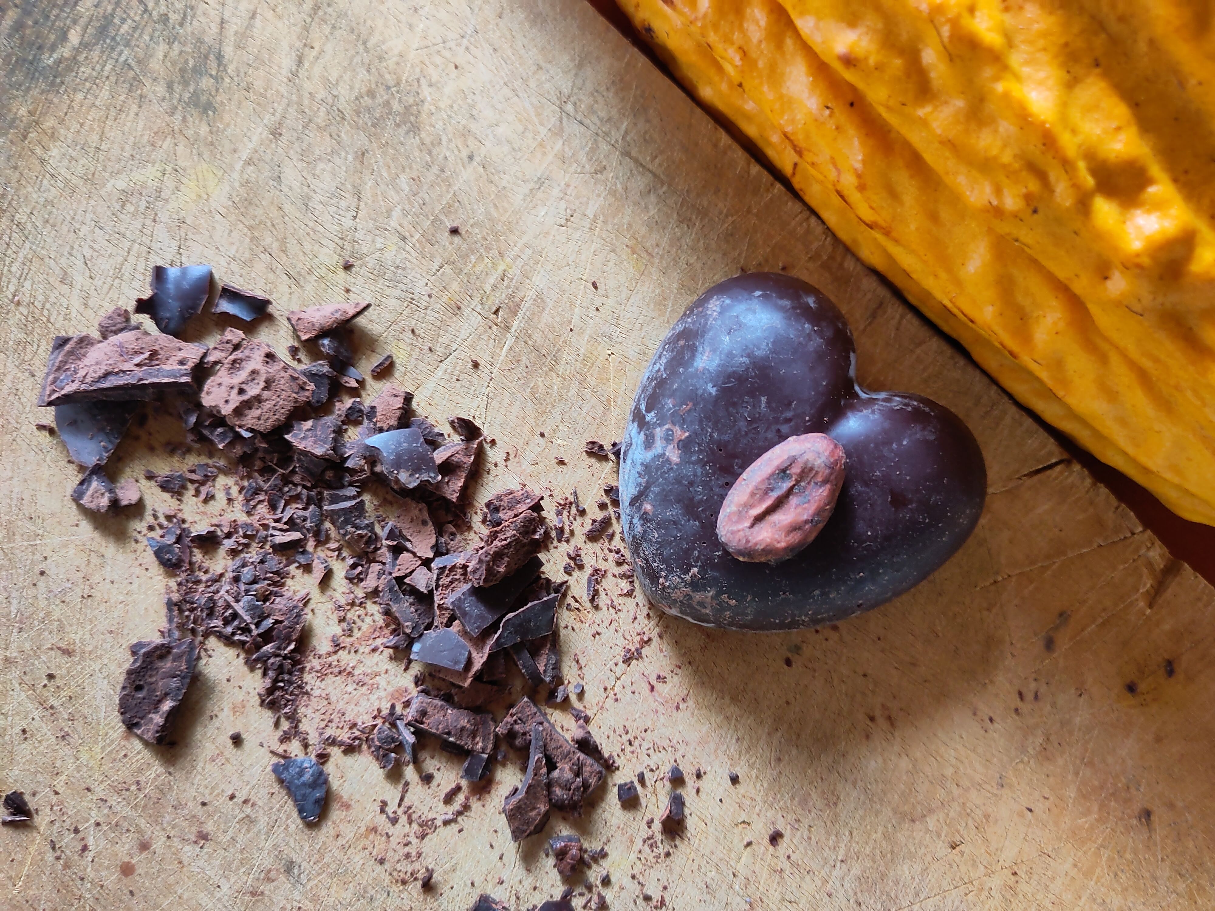 🜂 Conservation · Palo Santo 🜃 