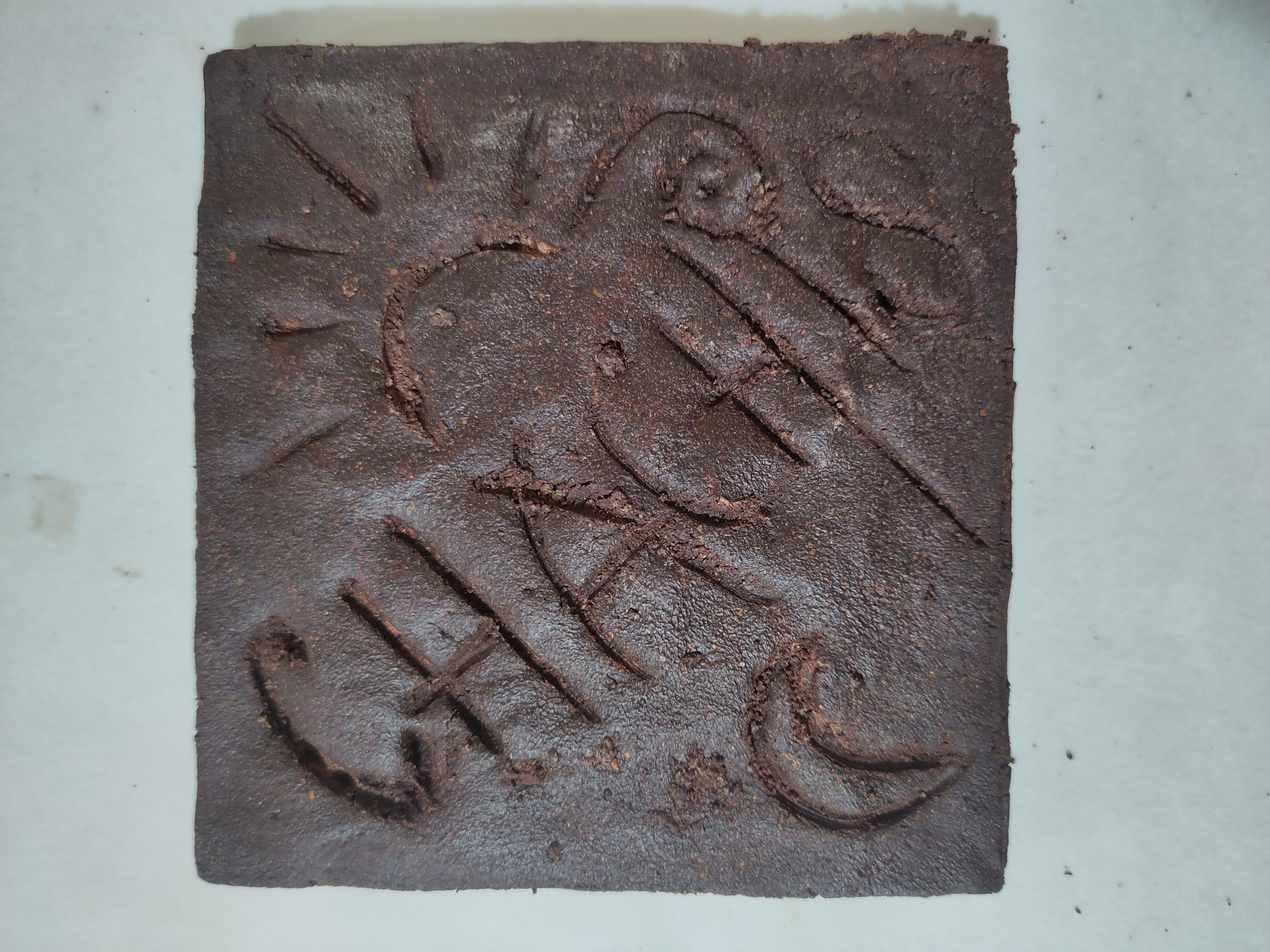 🜂 Conservation · Palo Santo 🜃 