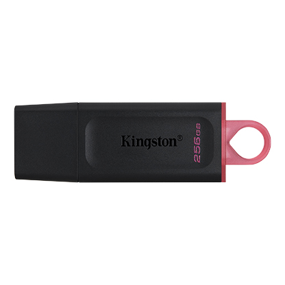 Memoria USB Kingston DataTraveler Exodia 256 GB