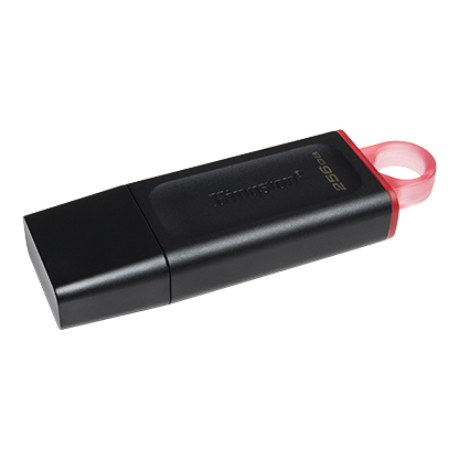 Memoria USB Kingston DataTraveler Exodia 256 GB