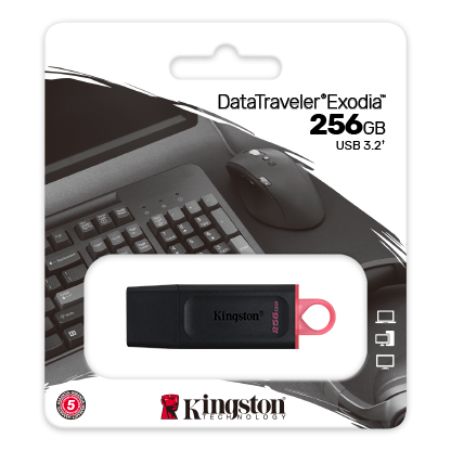 Memoria USB Kingston DataTraveler Exodia 256 GB
