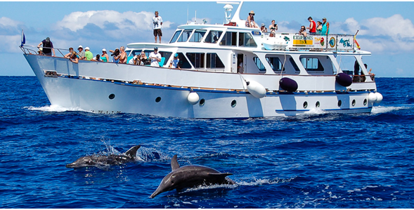 CRUCERO DE PASAJE Y TURISMO "TINA"