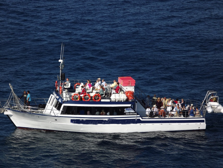 STELLA MARIS II
