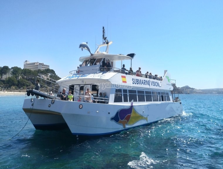 CATAMARAN DE PASAJE Y TURISMO "TROPICAL DELFIN"