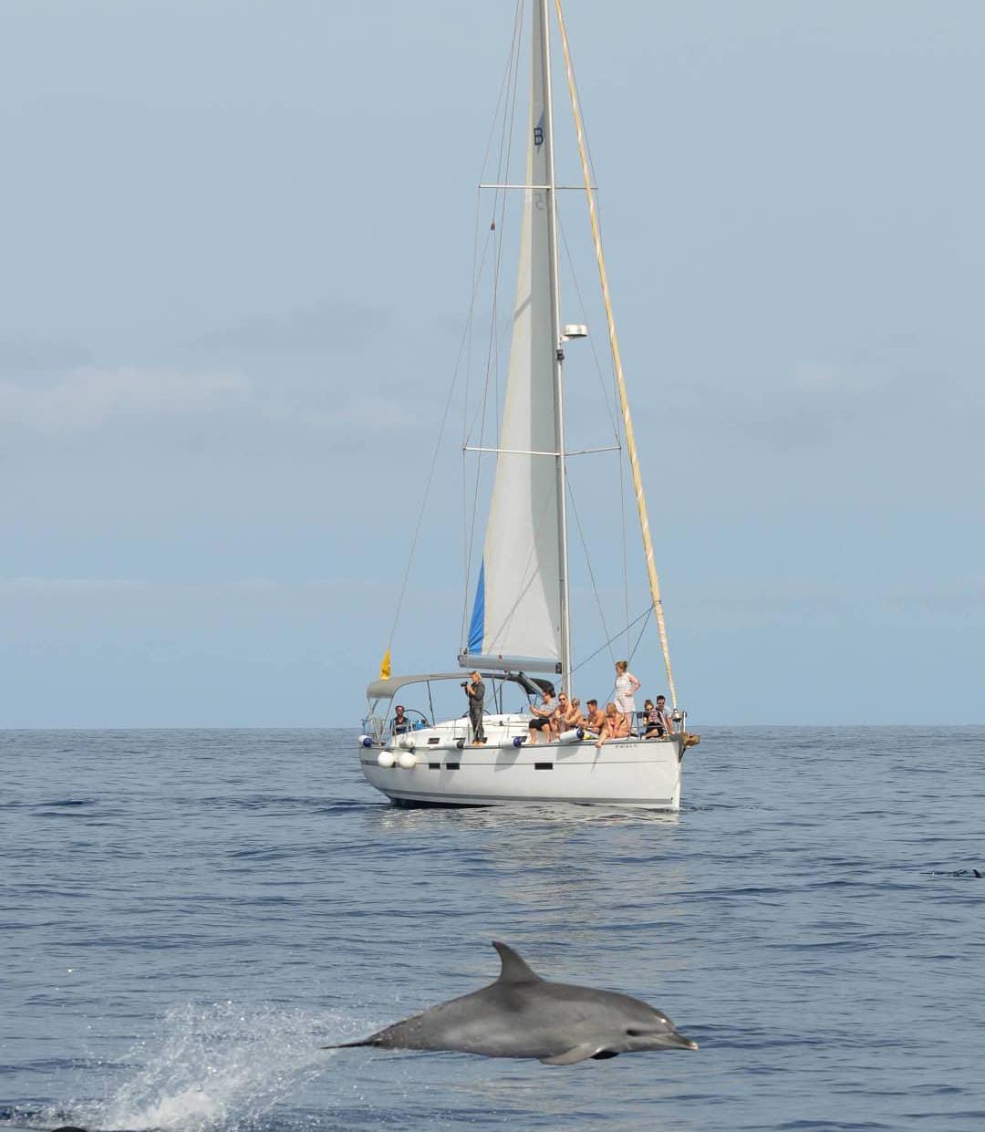 Velero de lujo Mugen BAVARIA CRUISER 45