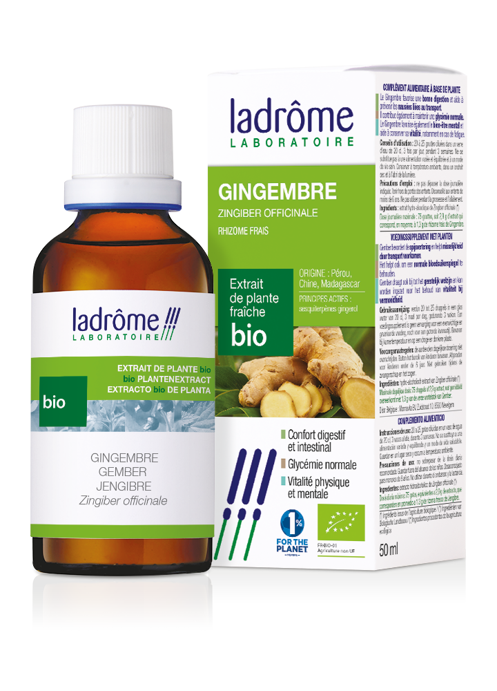 GINGEMBRE - Extrait de plante fraiche BIO
