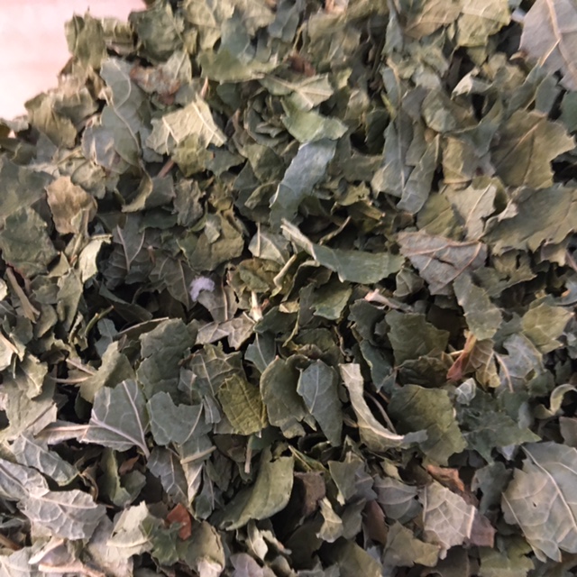 Cassis feuilles bio en vrac