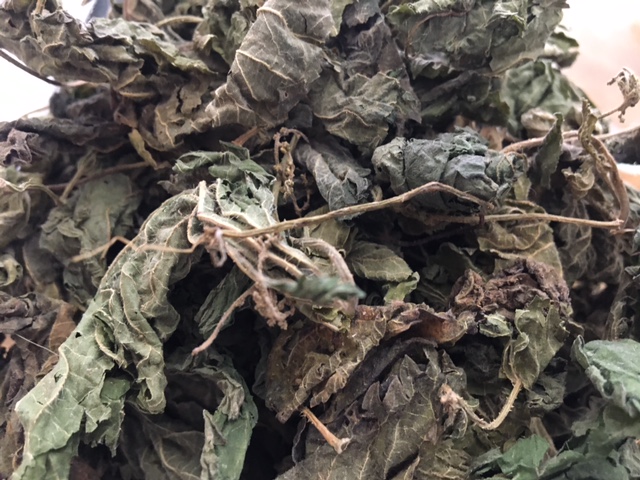 Ortie piquante feuilles bio en vrac