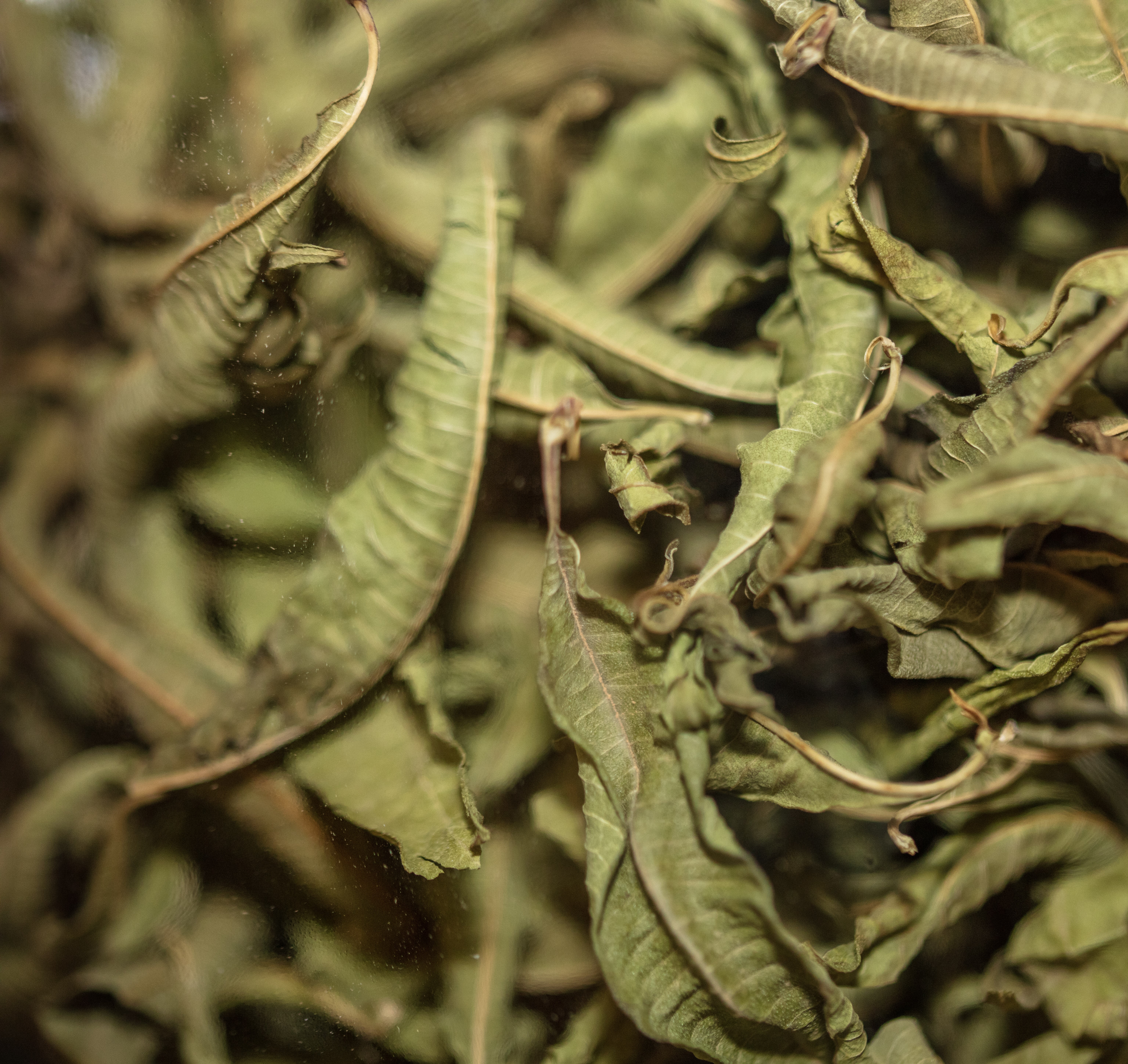 Verveine citronnée bio en vrac