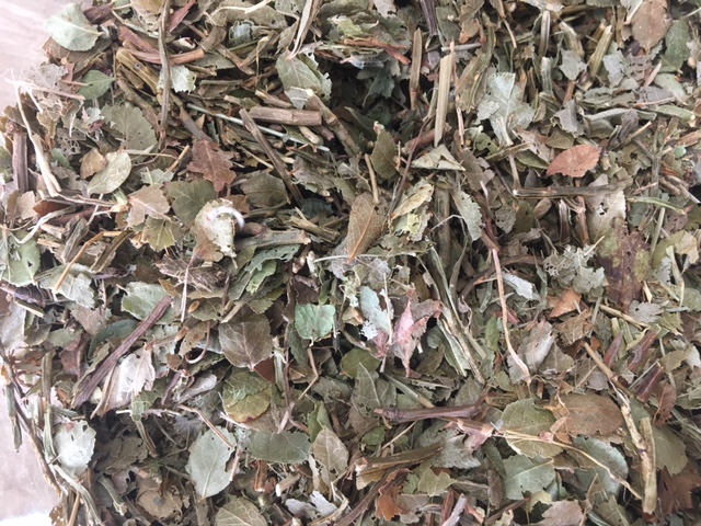 Myrtillier bio en vrac