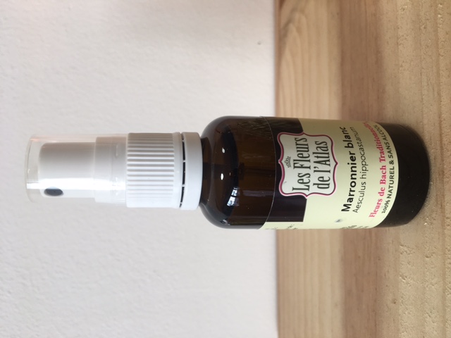 Fleurs de Bach sans alcool - Marronnier blanc - 30ml