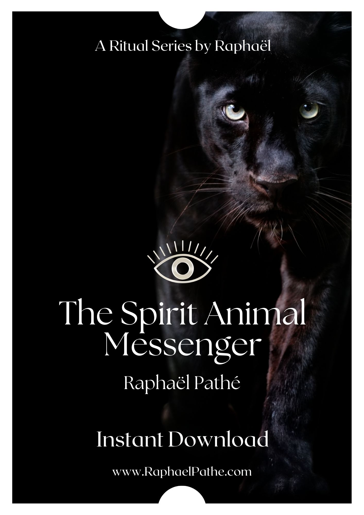 The Spirit Animal Messenger