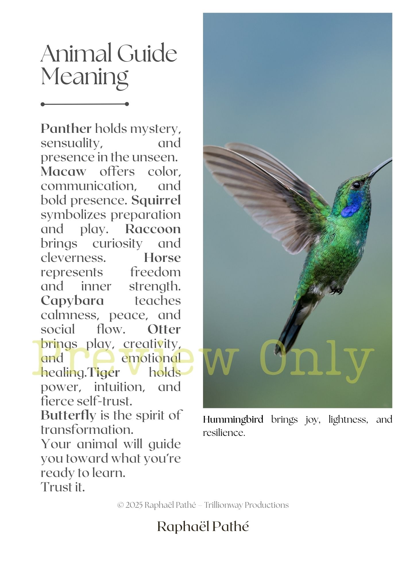 The Spirit Animal Messenger