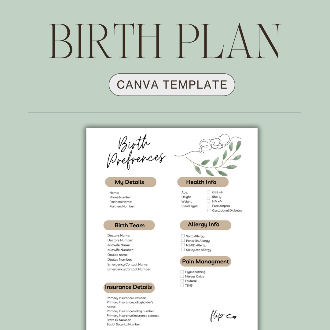 Birth Plan Template 