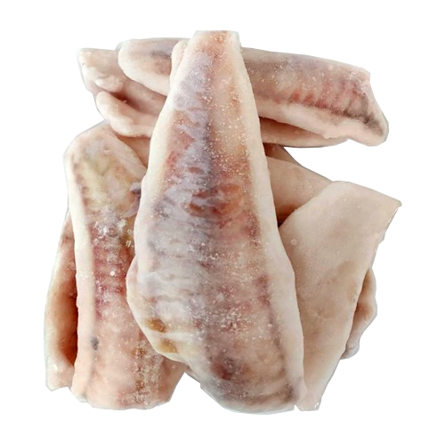 Filé de Cascudinho