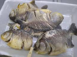Piranha Inteira