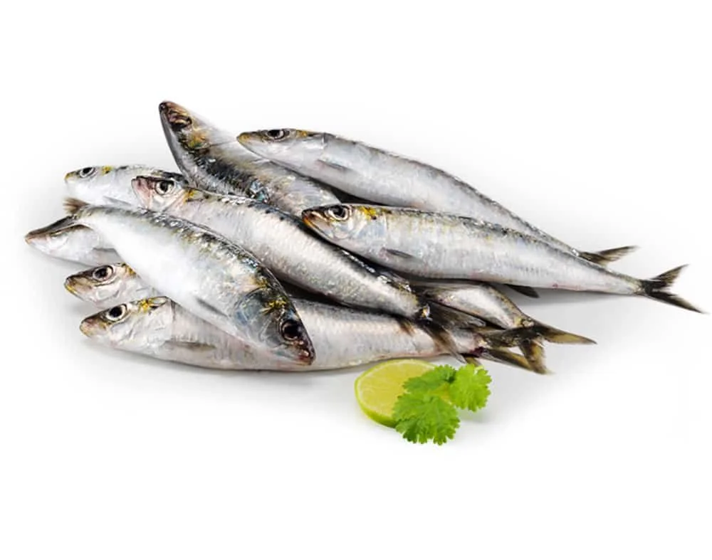 Sardinha Inteira