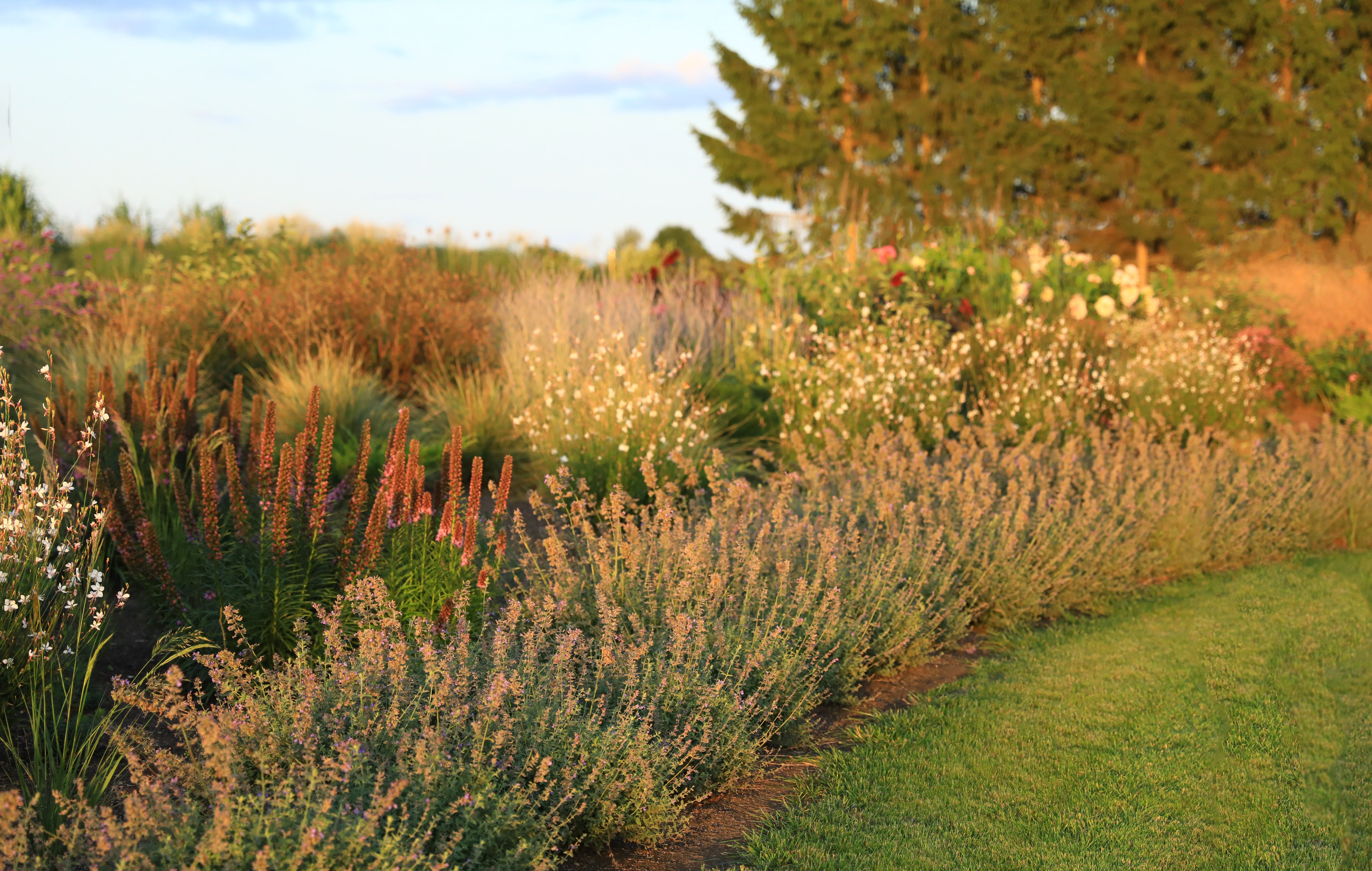 Apsilankymas Saulėtų Lankų sode