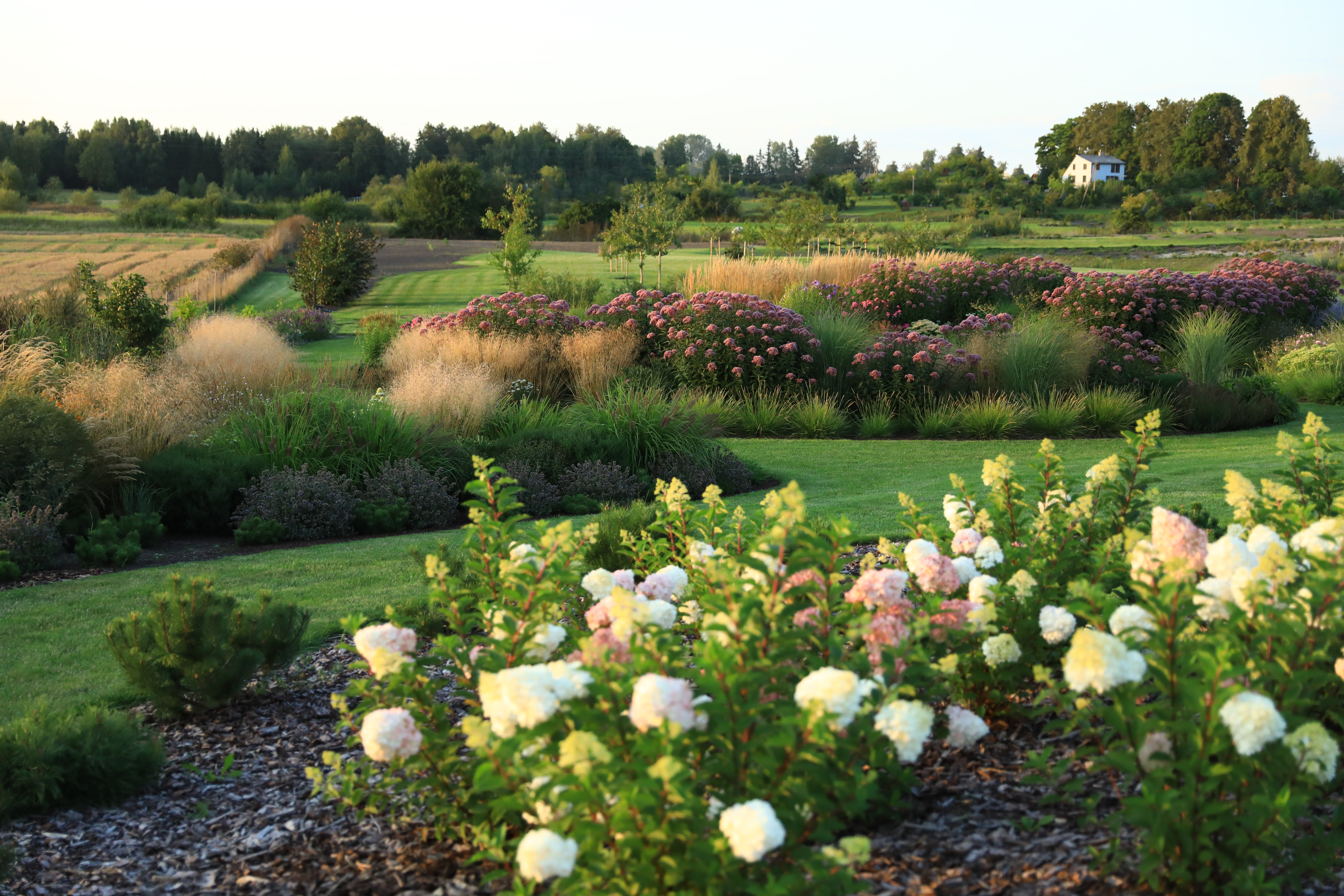 Apsilankymas Saulėtų Lankų sode