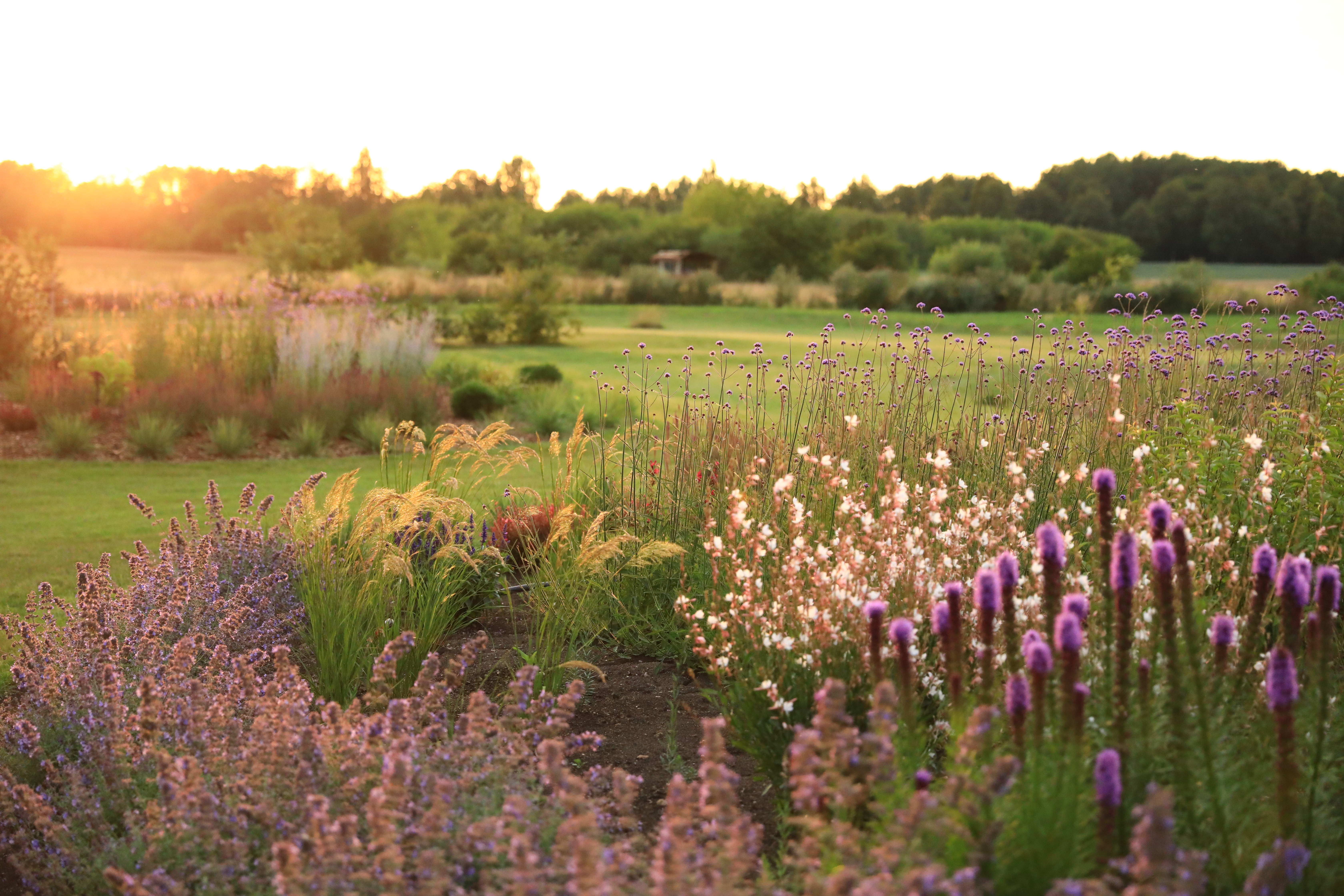 Apsilankymas Saulėtų Lankų sode