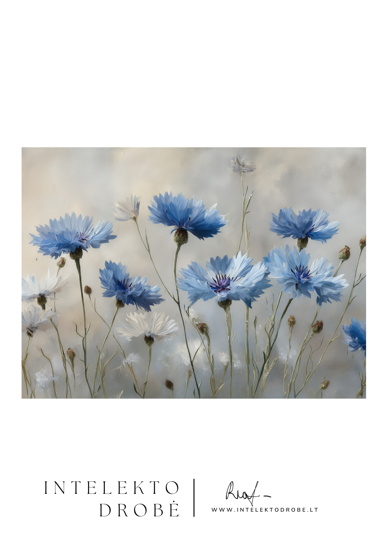 Dangaus žydėjimo paslaptis