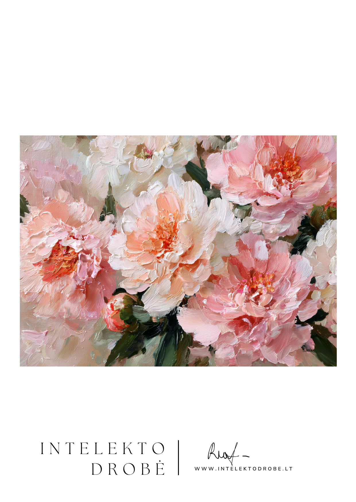 Persikinės svajonės žydėjimas