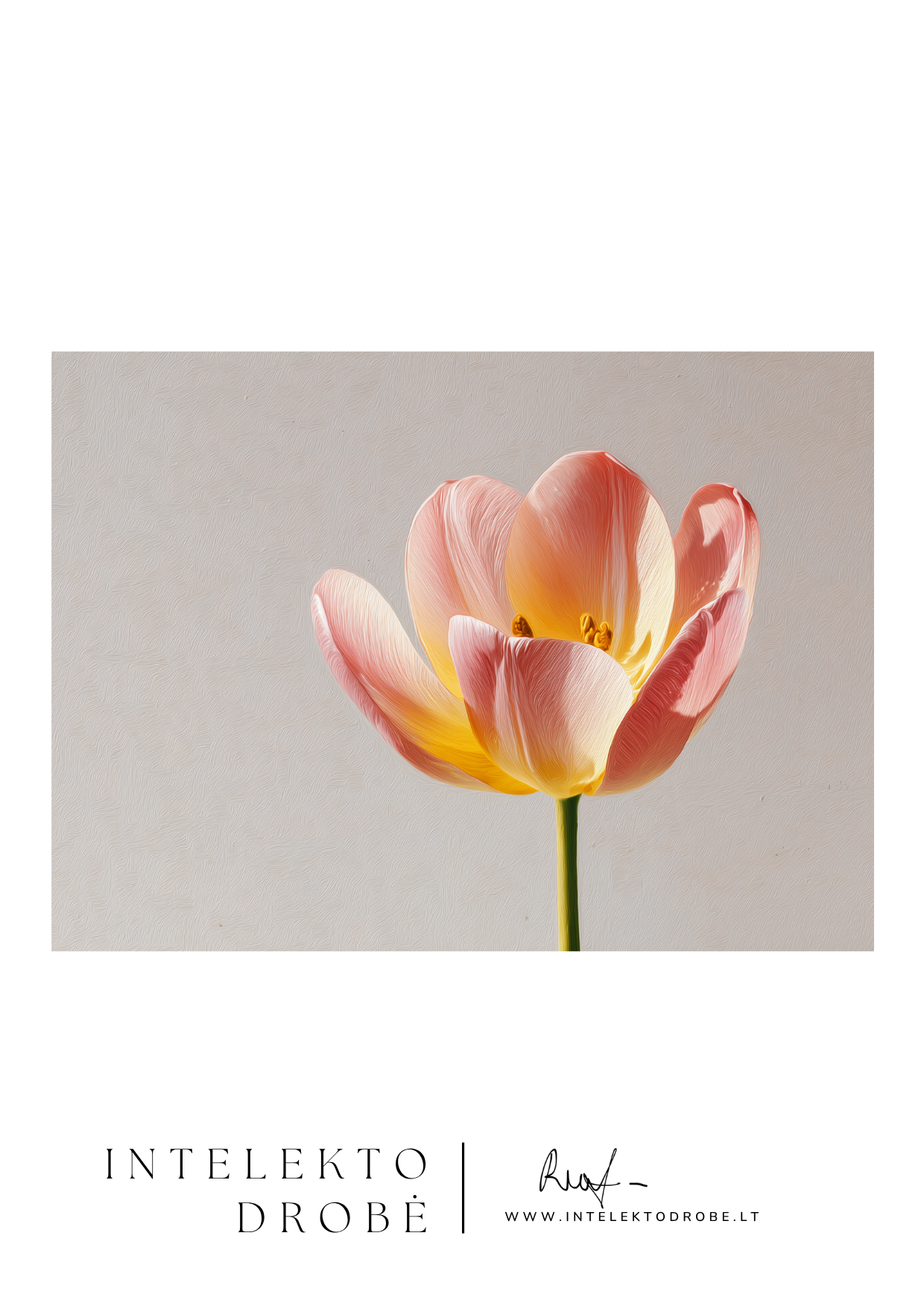 Vienintelė aušros nata