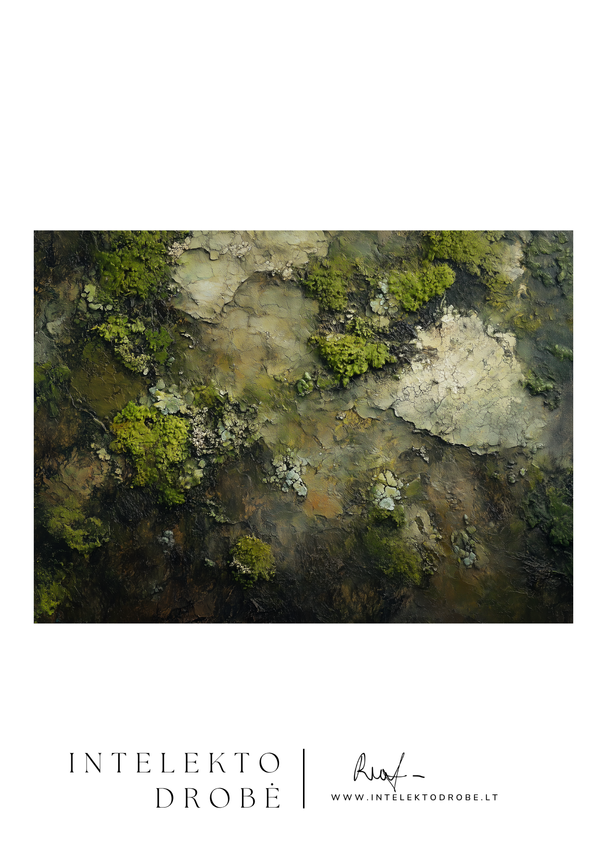 Miško odos paslaptis