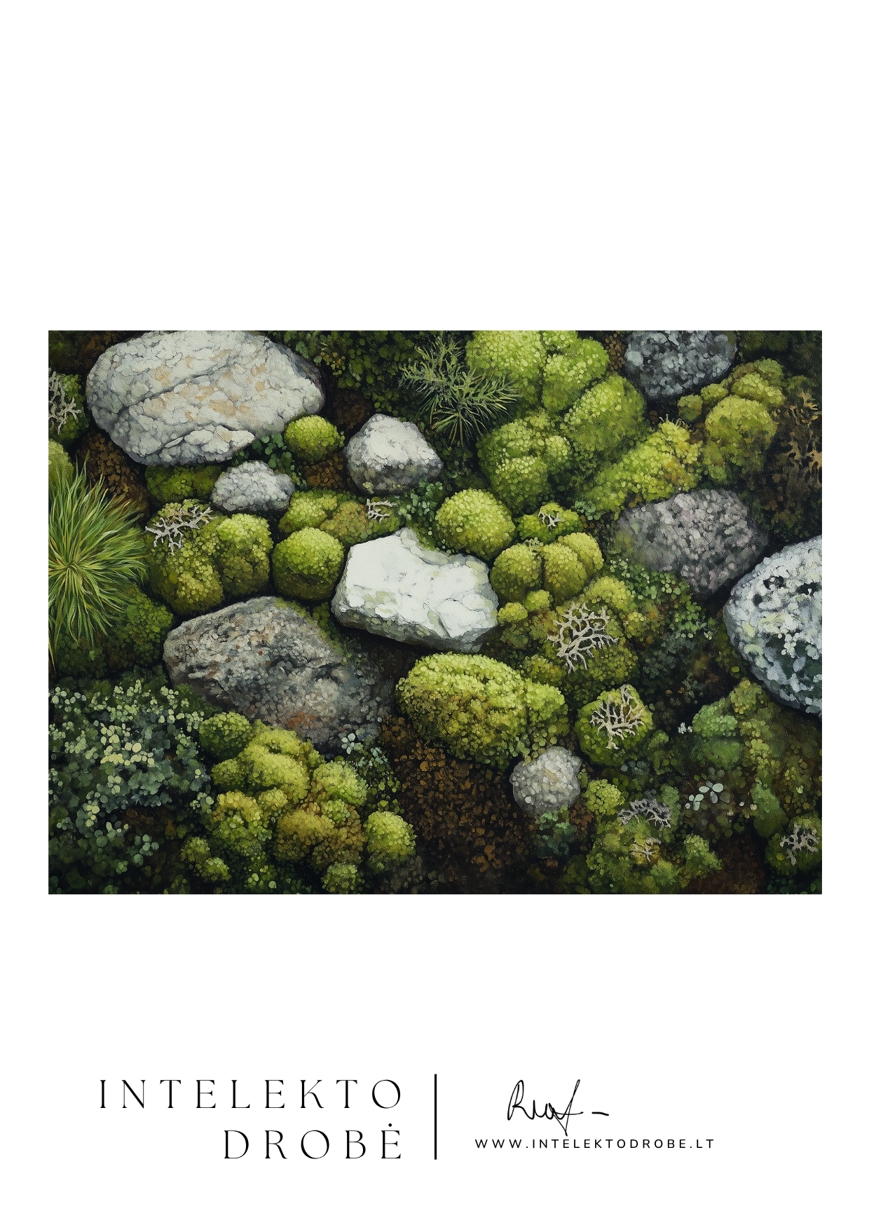 Samanų labirinto pasaka