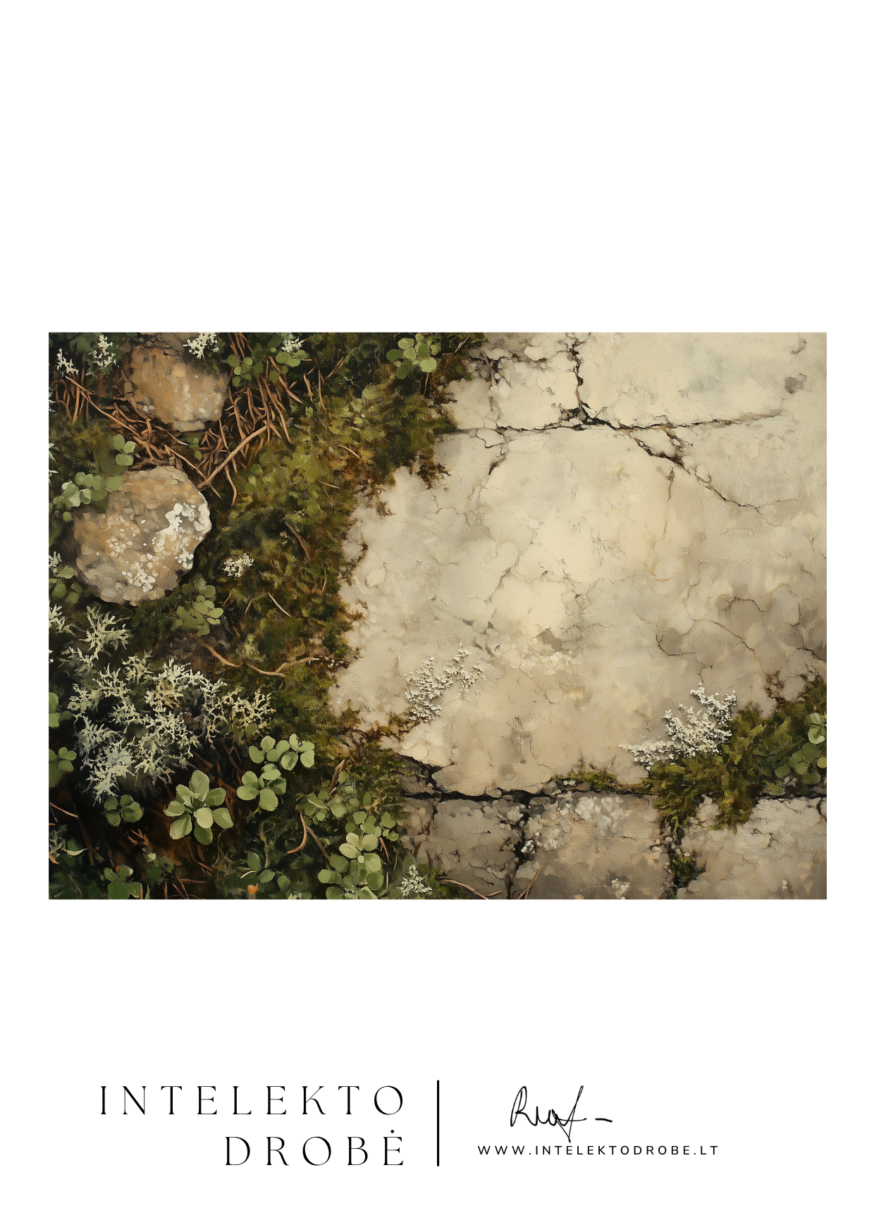 Samanų ir akmens dialogas