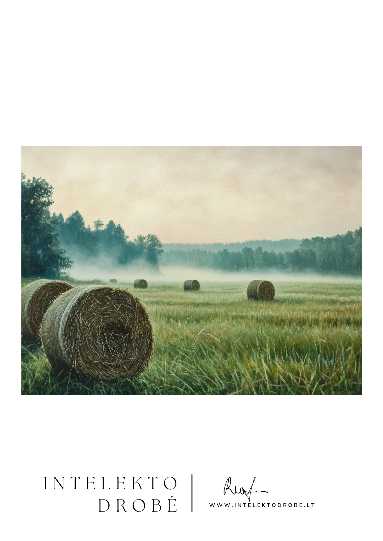 Šienapjūtės rūko sonata