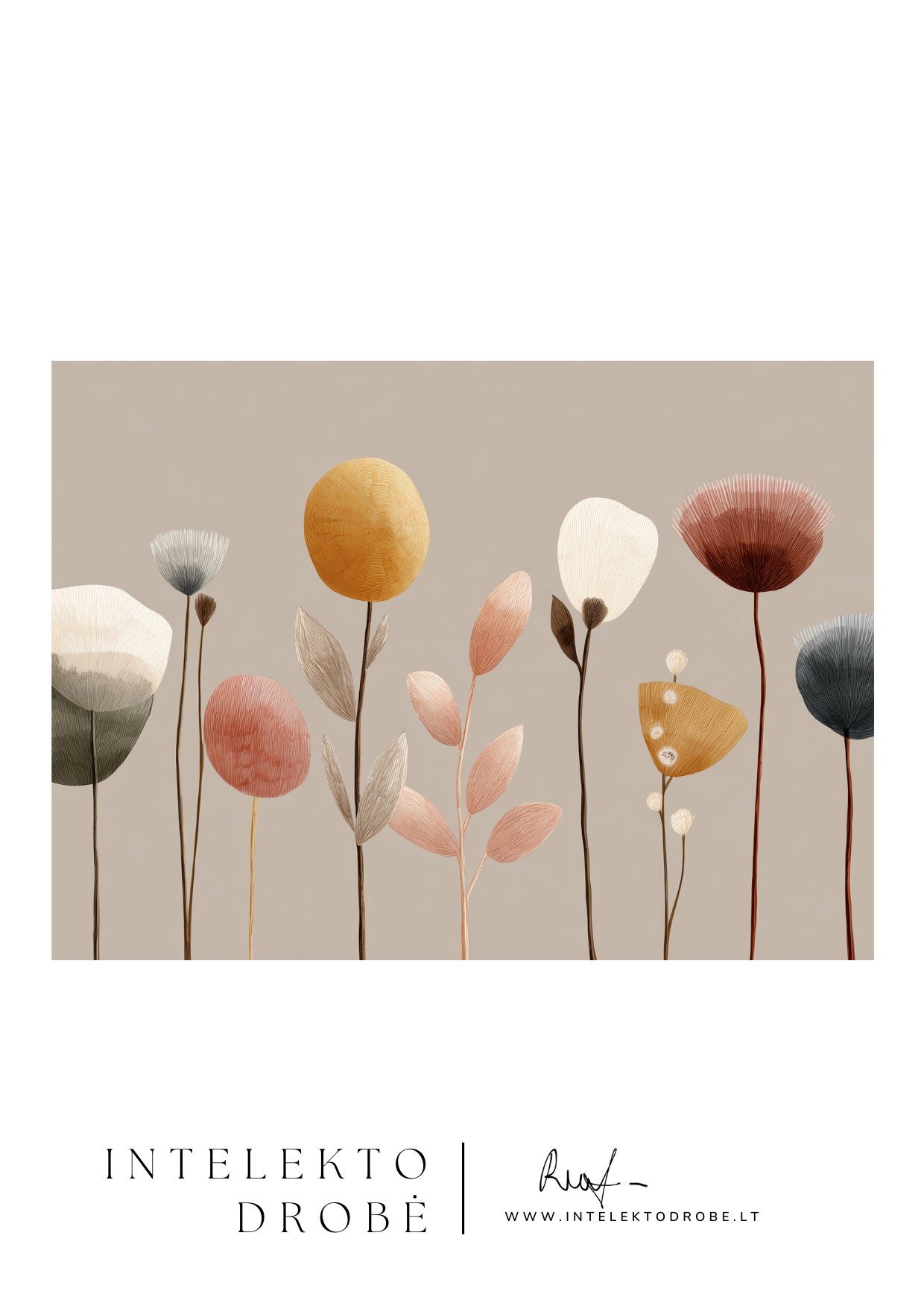 Švelnių Žiedų Pasaka