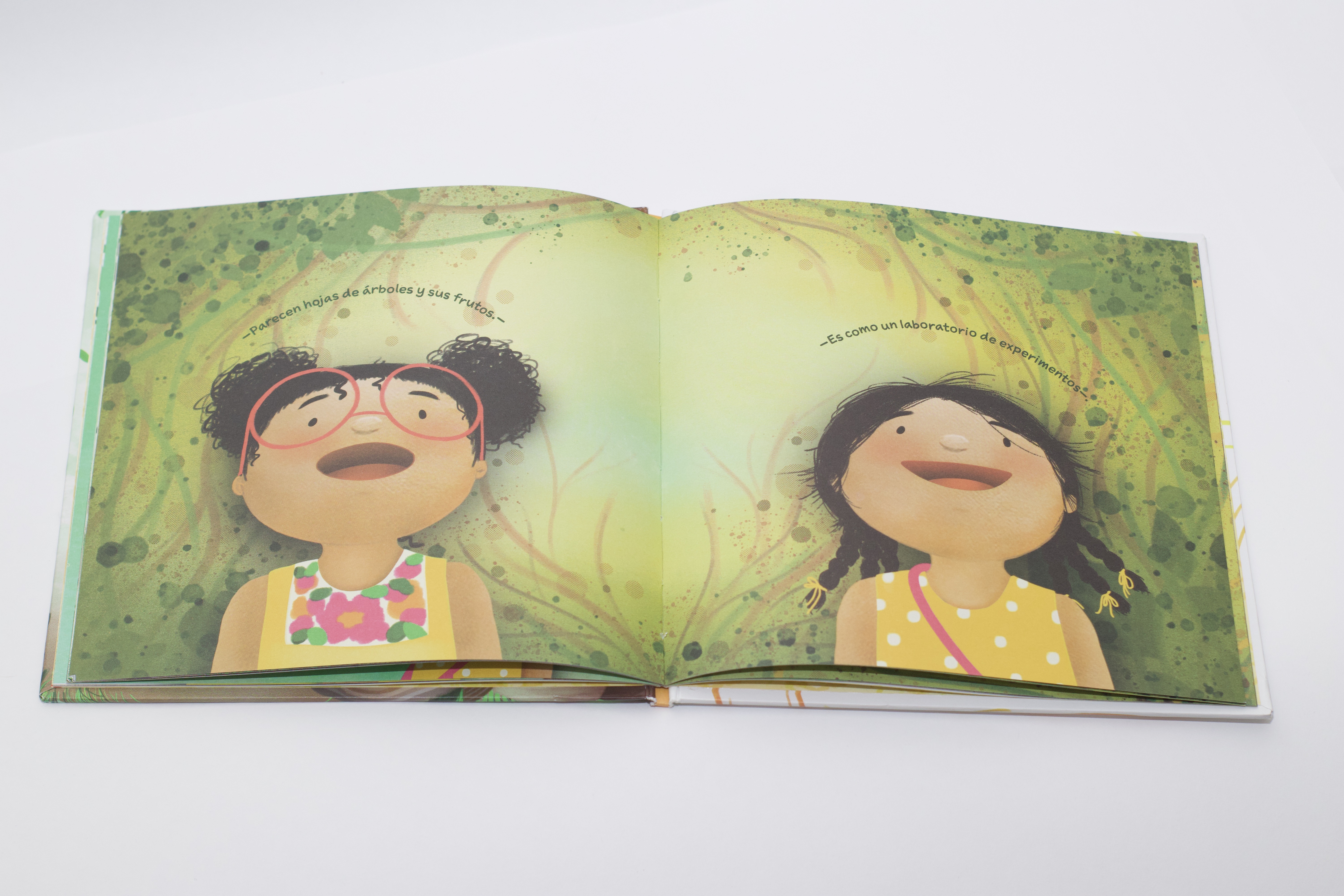 Libro Hago y experimento