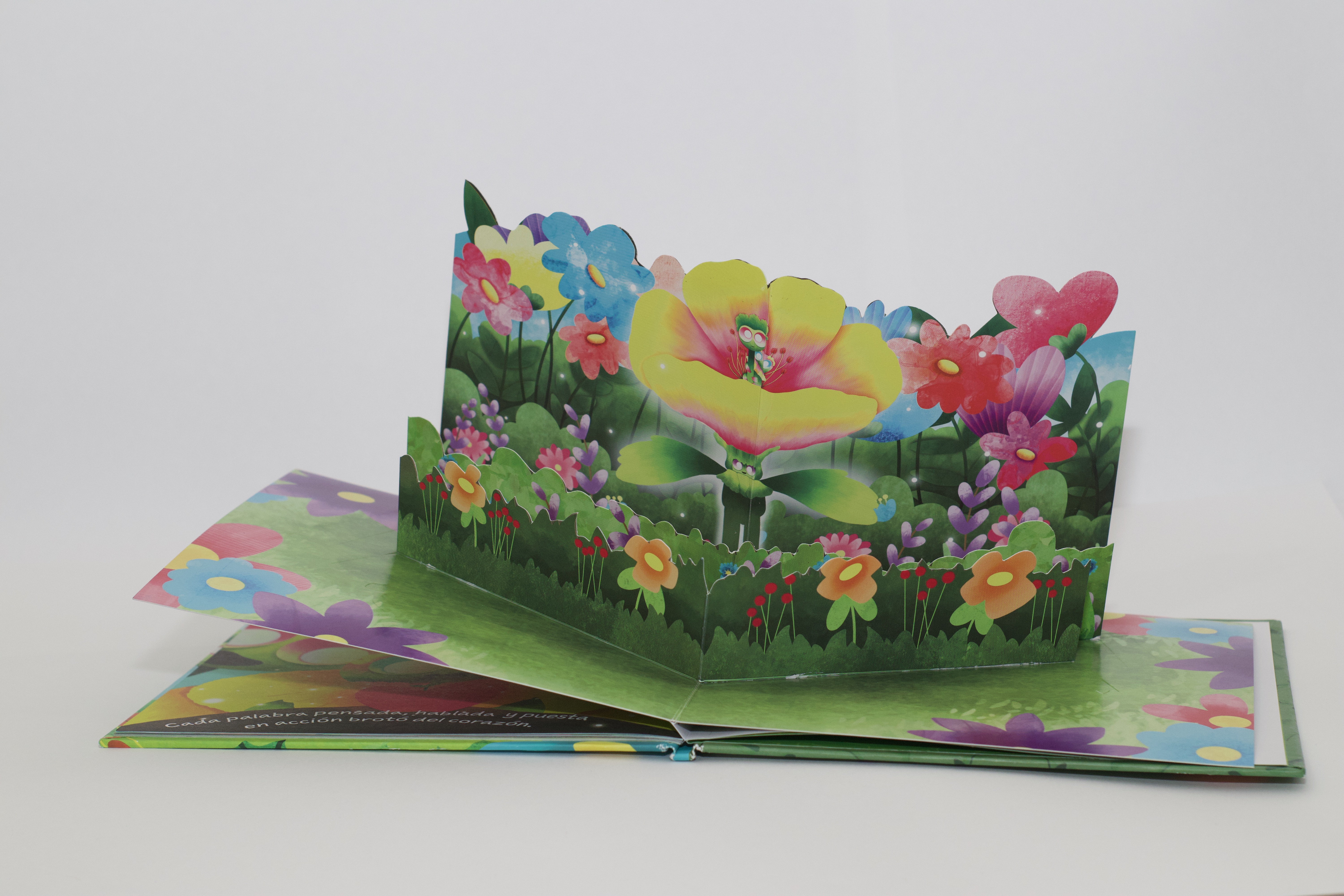 Libro La oportunidad del jardín