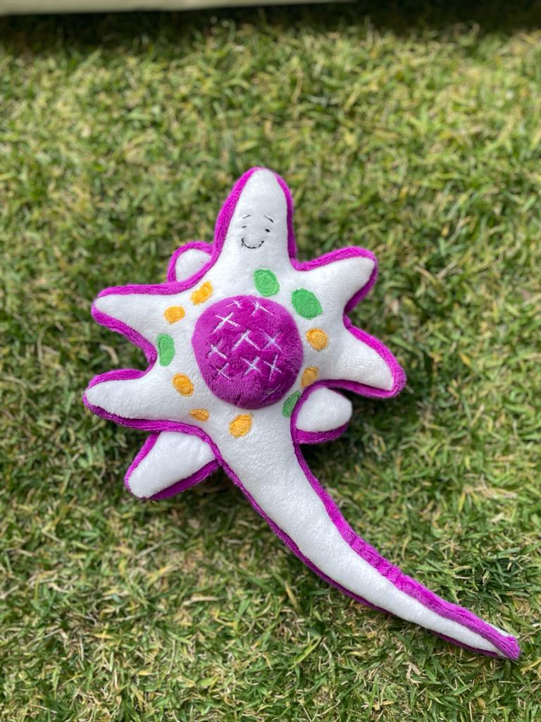 Peluche Dendrita