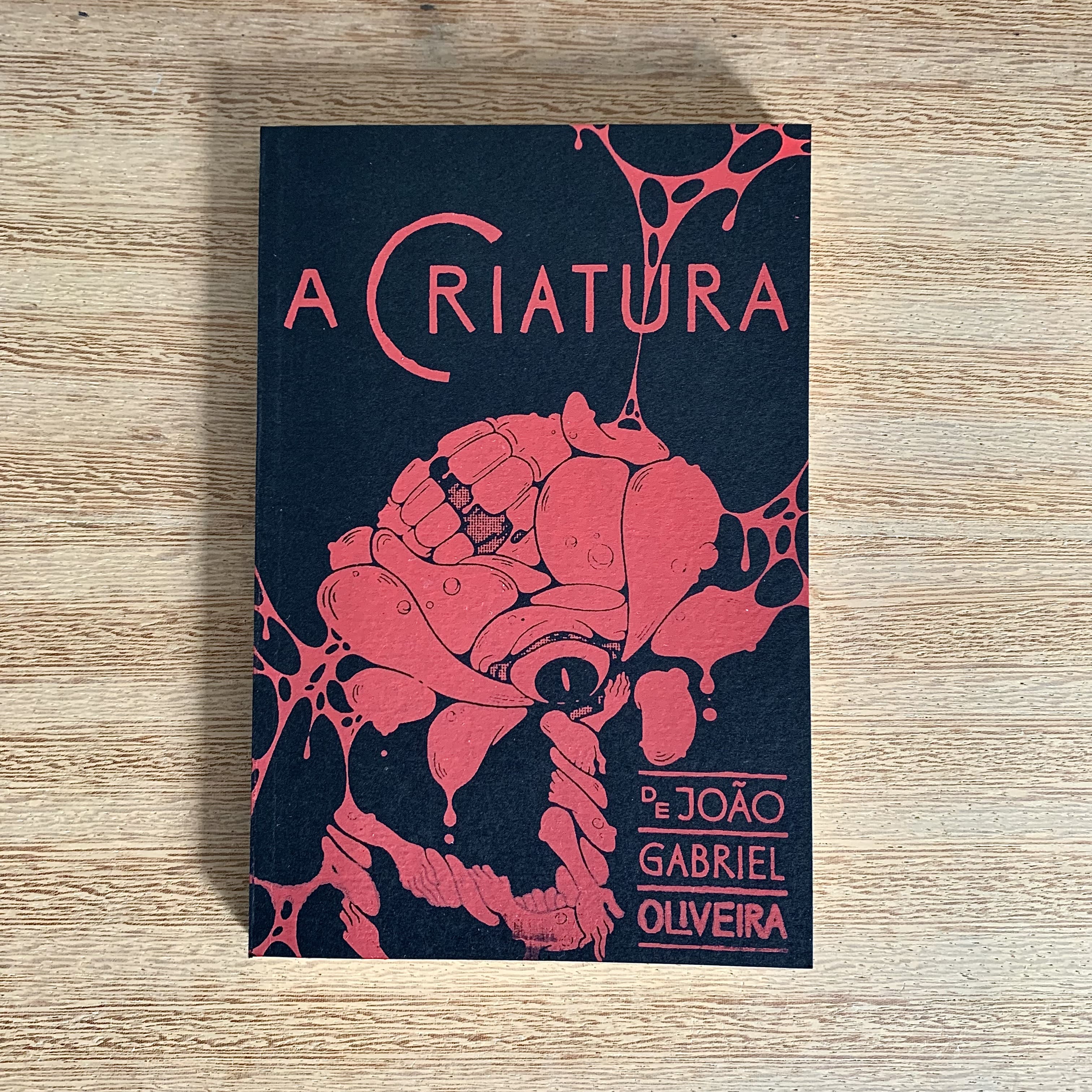 A CRIATURA | JOÃO GABRIEL OLIVEIRA