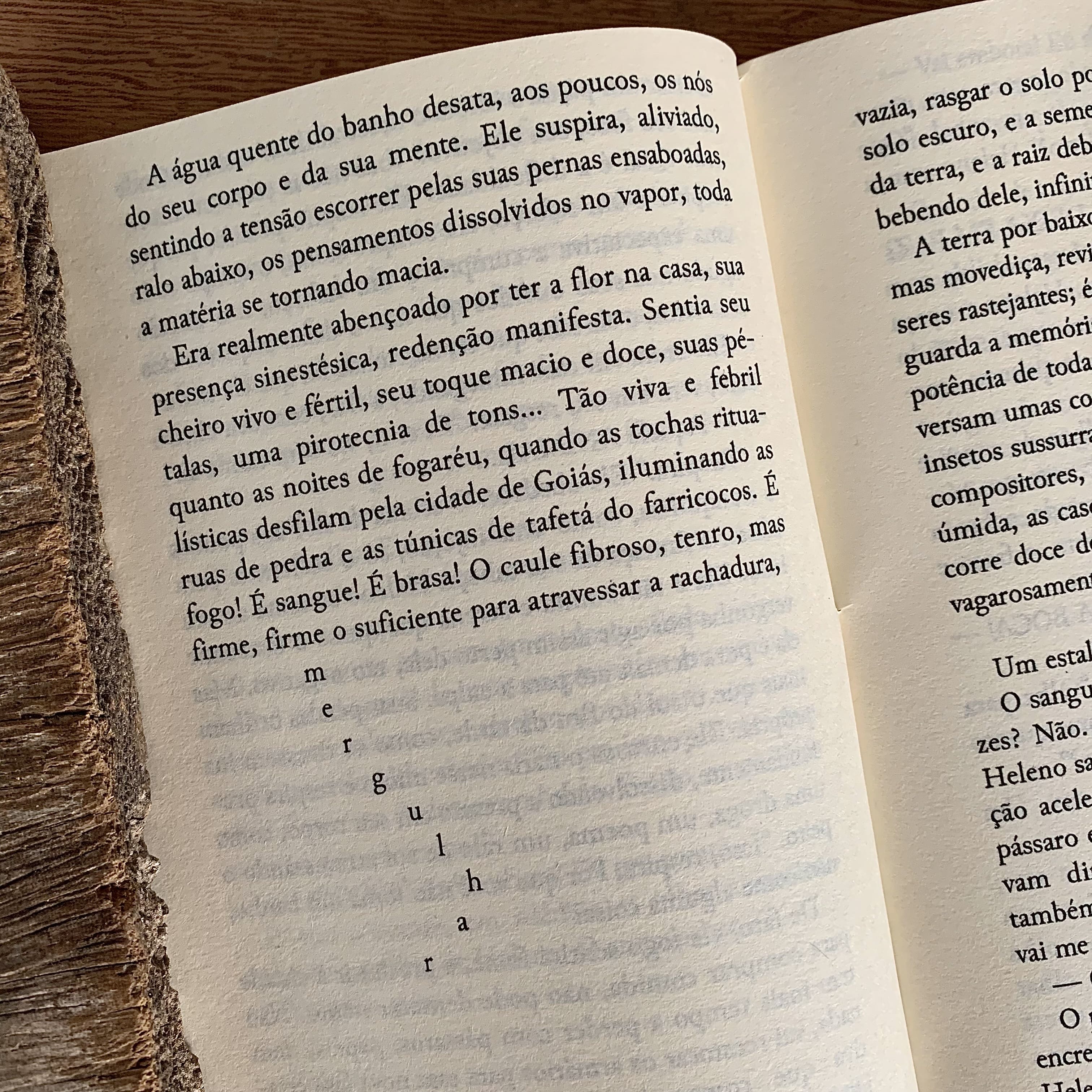 A CRIATURA | JOÃO GABRIEL OLIVEIRA