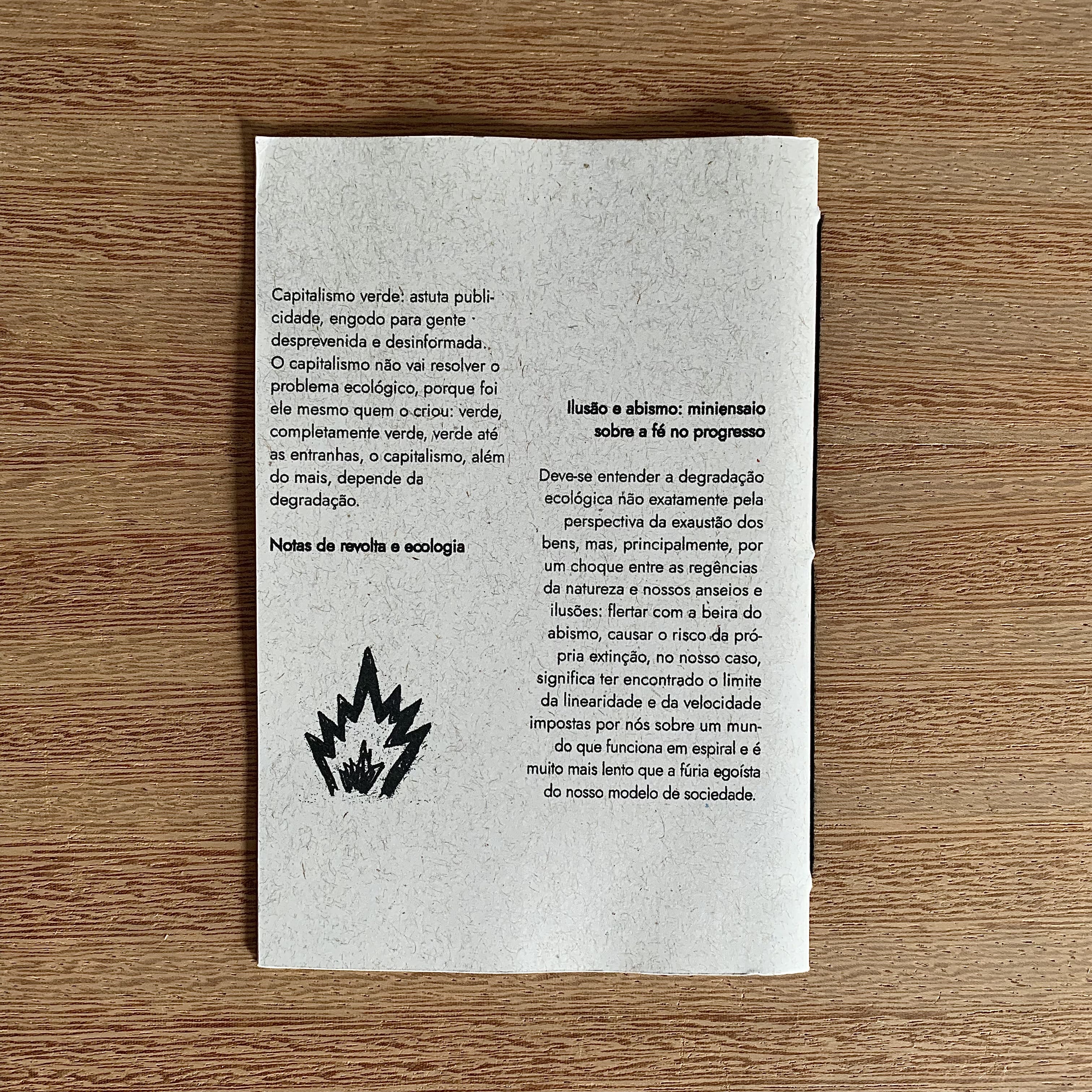 NOTAS DE REVOLTA E ECOLOGIA | FELIPE MORENO