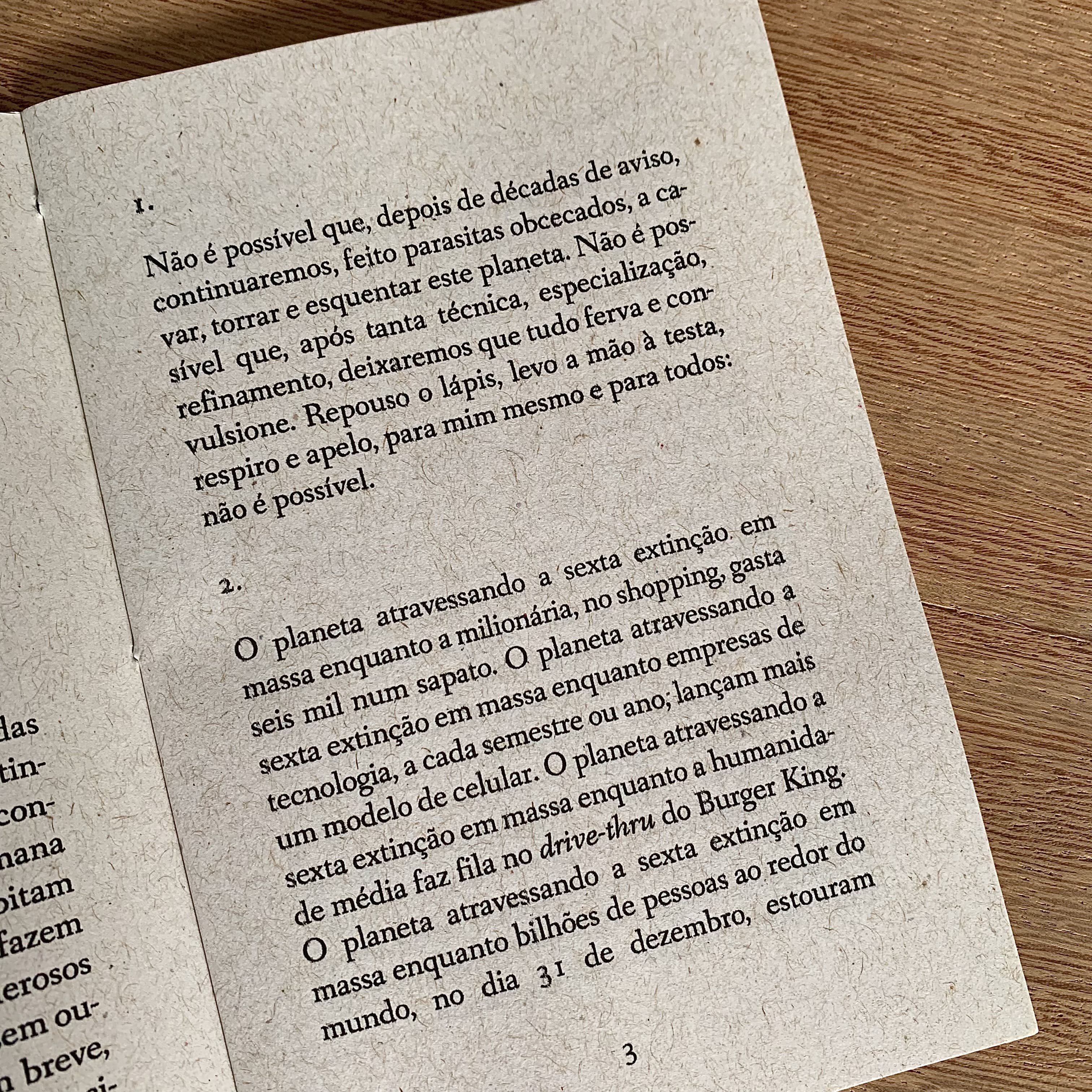 NOTAS DE REVOLTA E ECOLOGIA | FELIPE MORENO