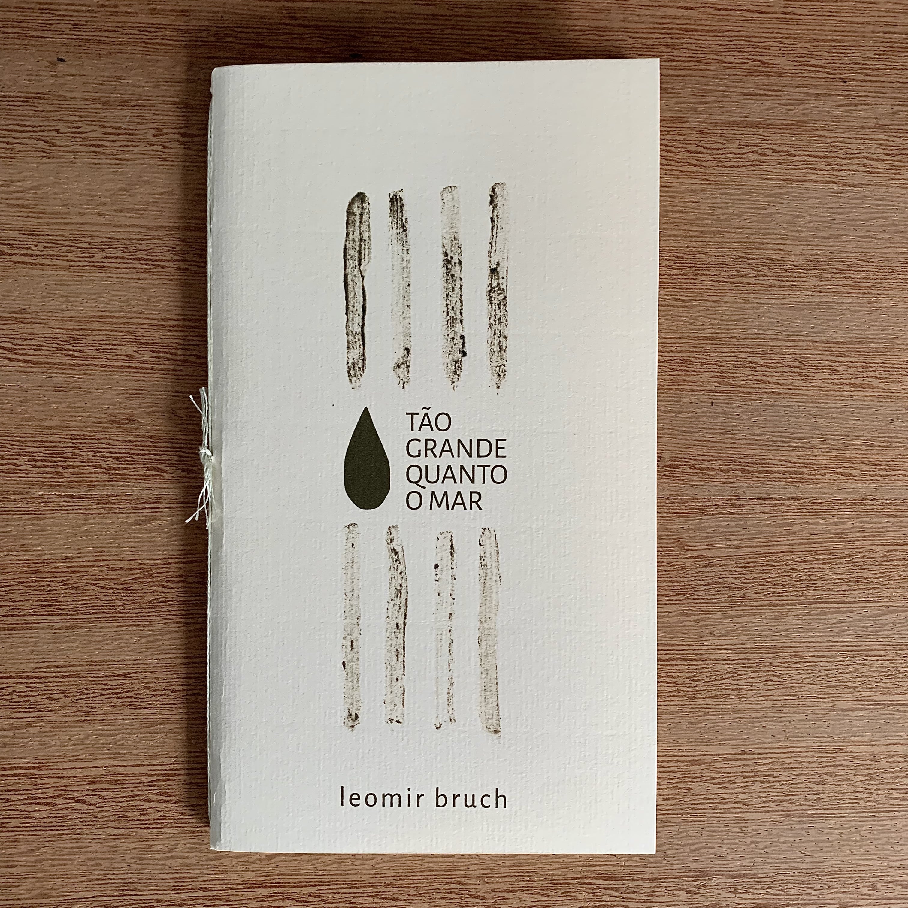 TÃO GRANDE QUANTO O MAR: UM ESTUDO EM SETE QUEDAS | LEOMIR BRUCH