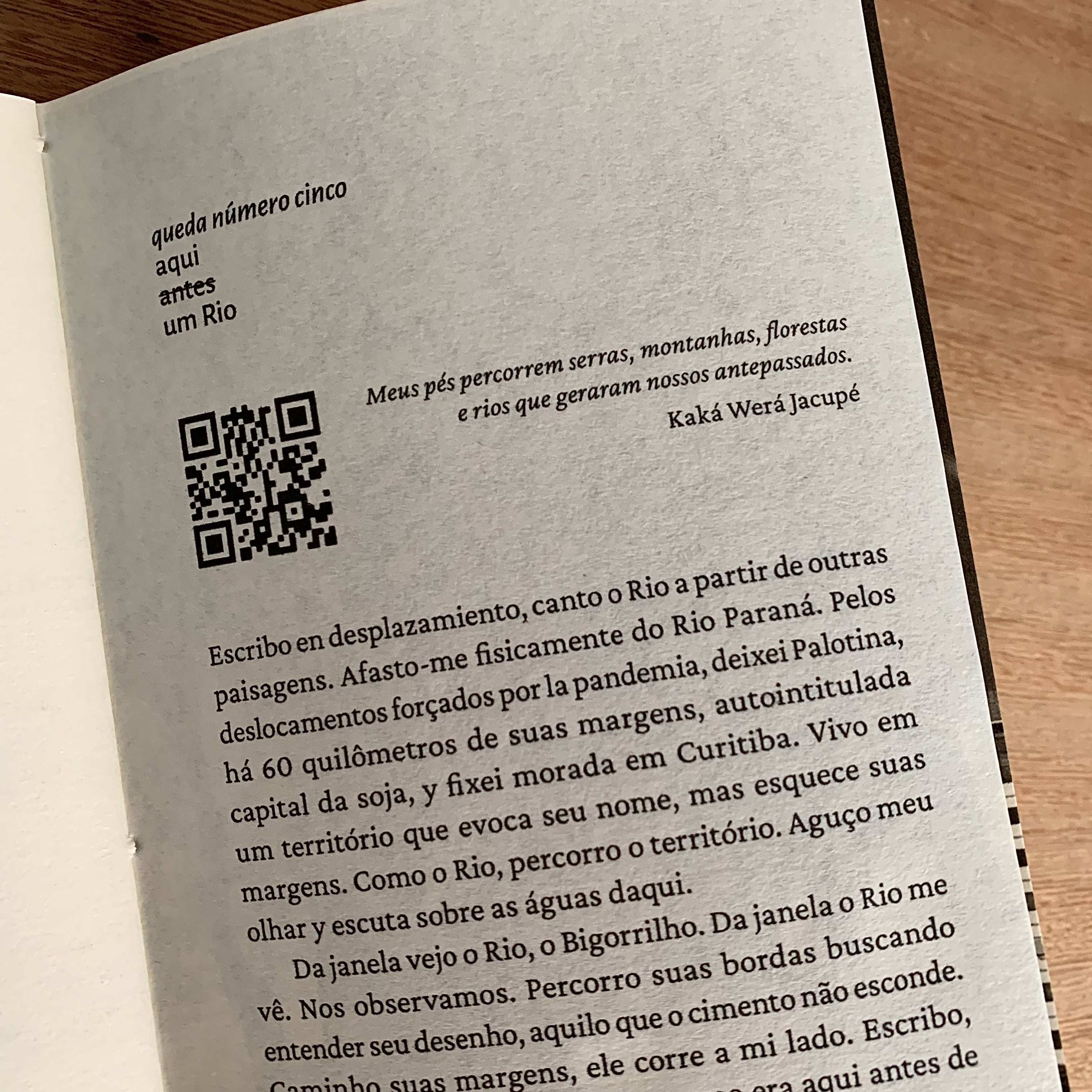 TÃO GRANDE QUANTO O MAR: UM ESTUDO EM SETE QUEDAS | LEOMIR BRUCH
