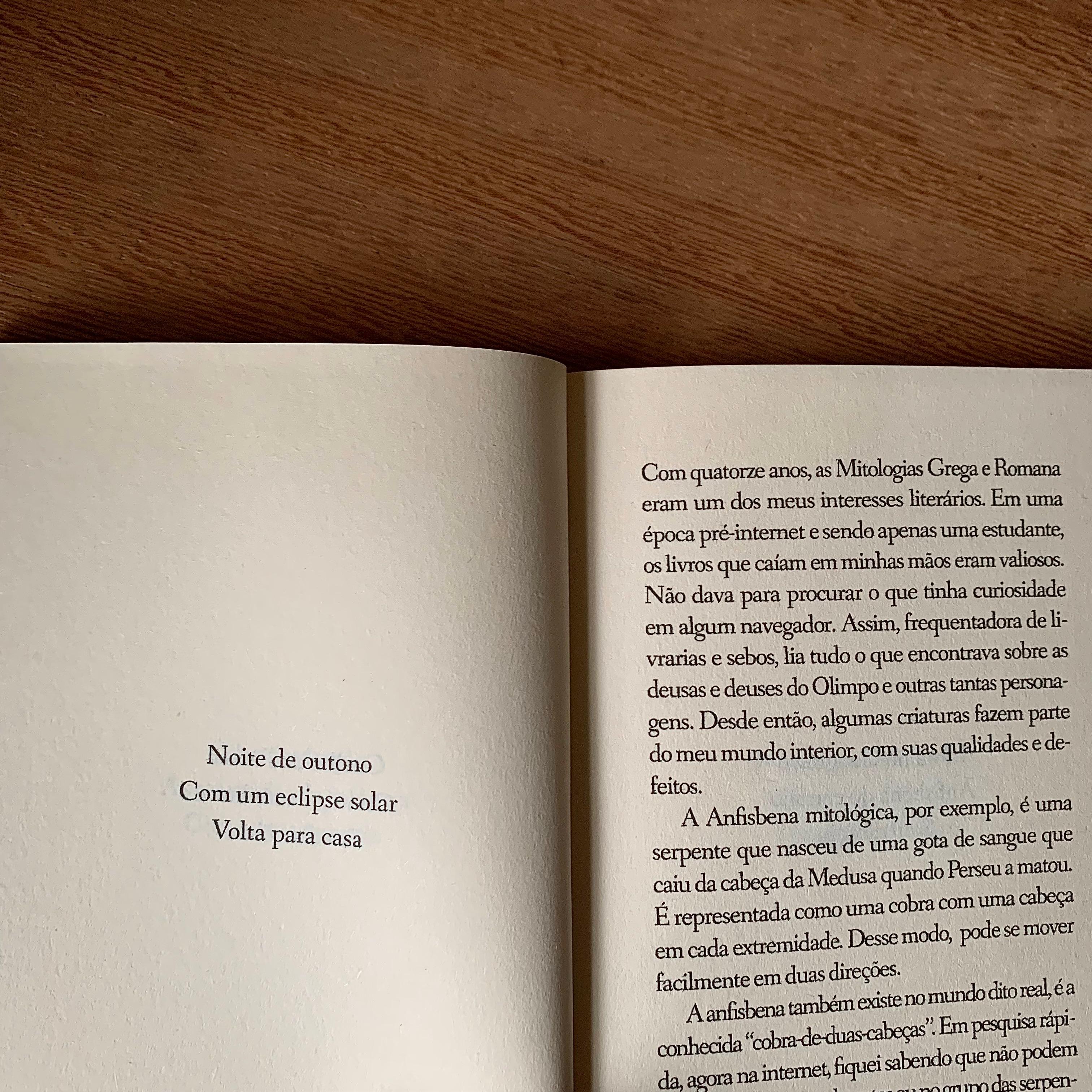 TORII | LÍLIAN SAEKO TABA