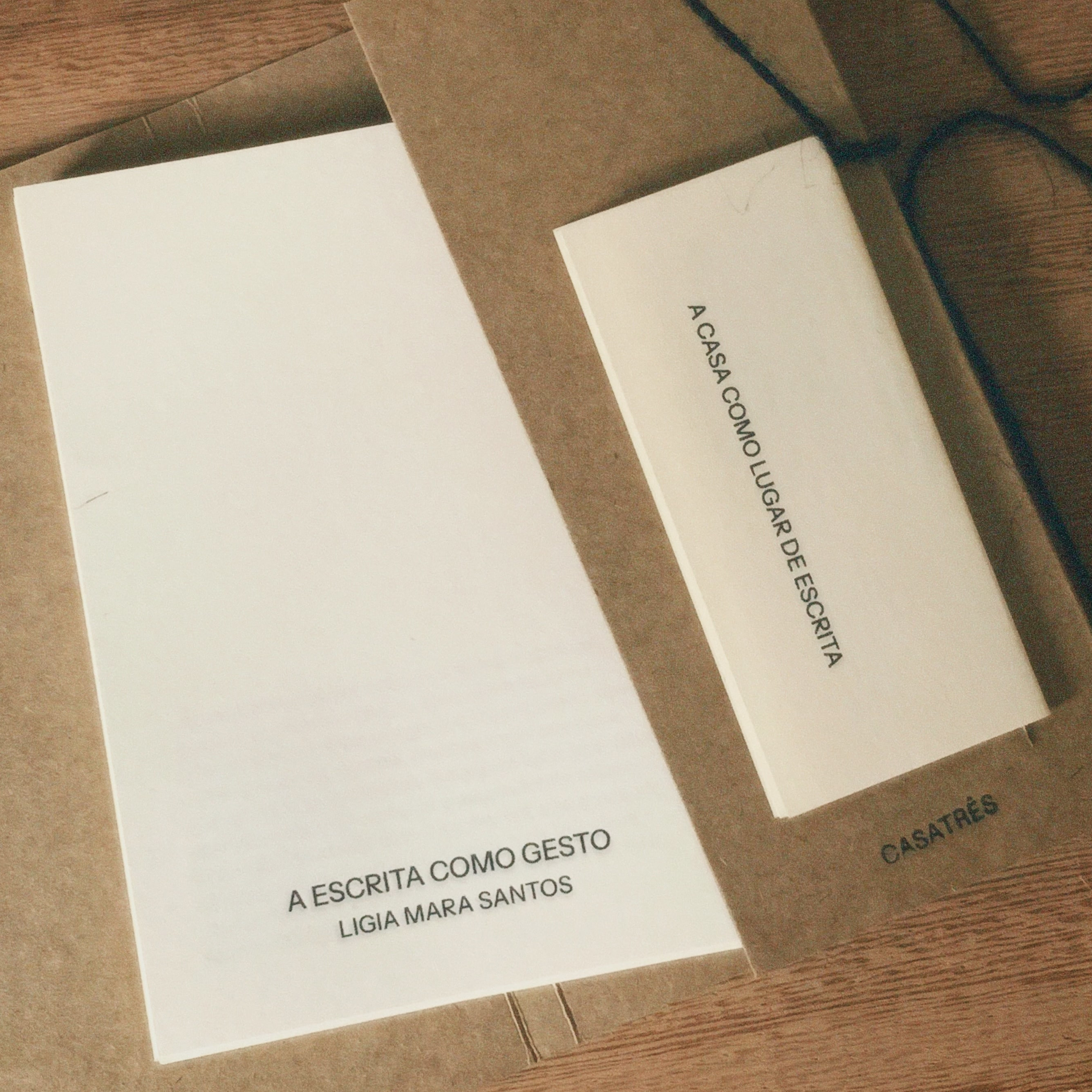 A ESCRITA COMO GESTO | LIGIA MARA SANTOS 