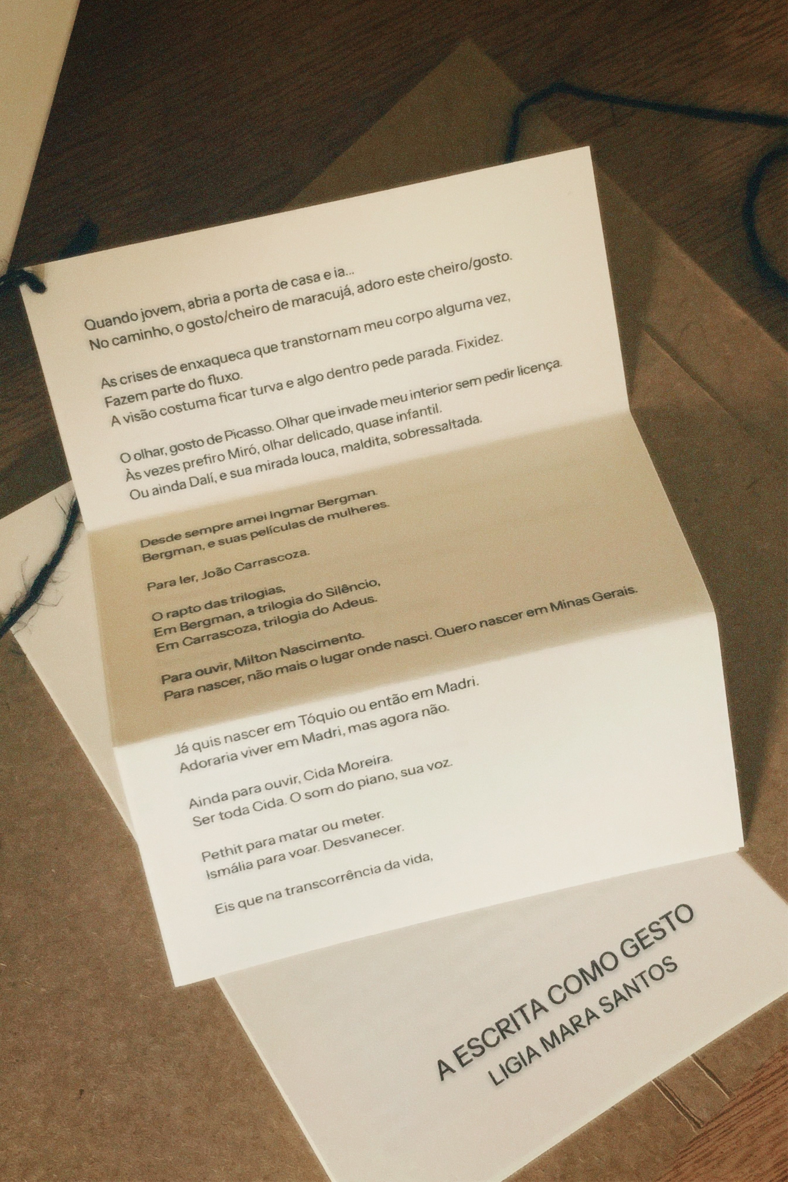 A ESCRITA COMO GESTO | LIGIA MARA SANTOS 