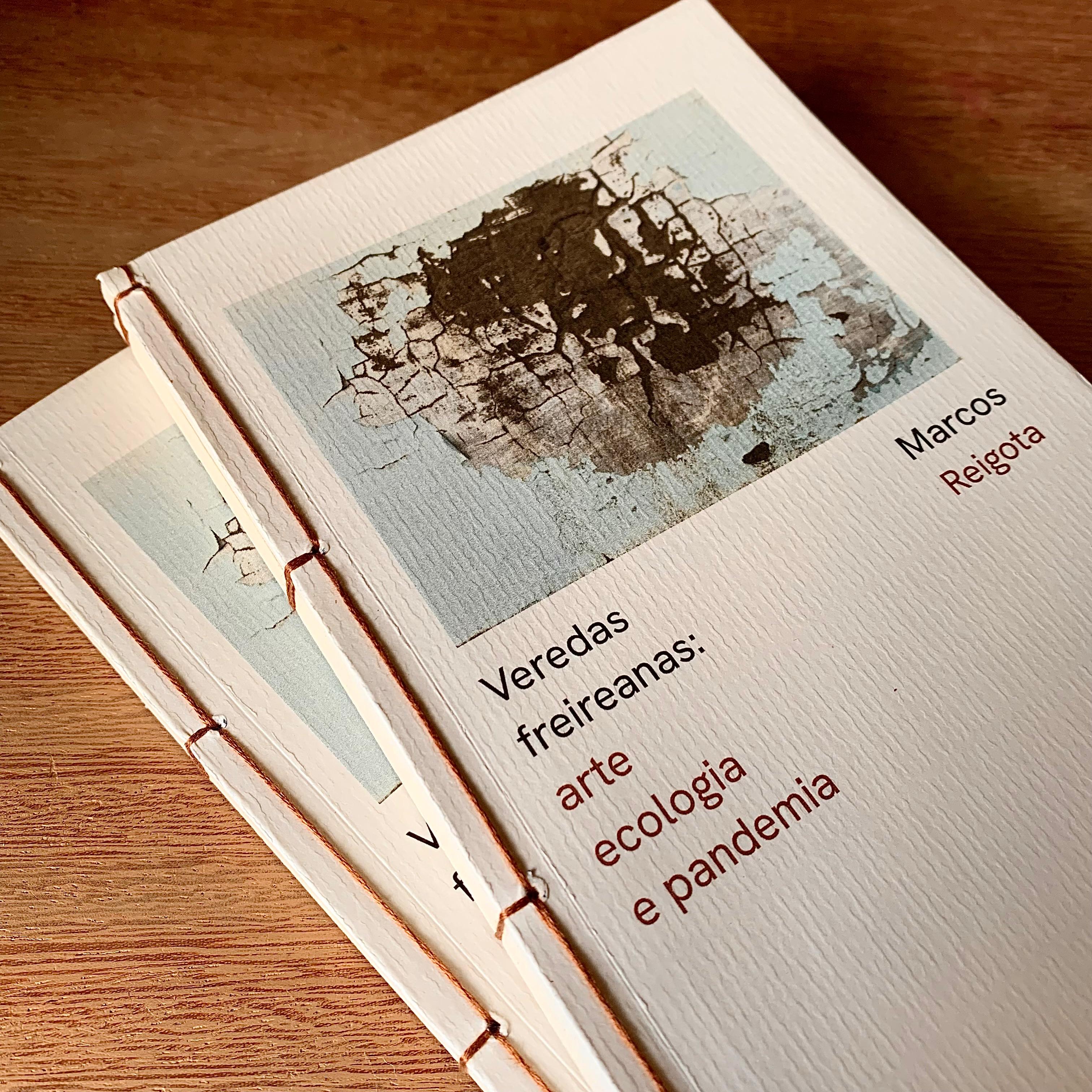 VEREDAS FREIREANAS: ARTE, ECOLOGIA E PANDEMIA | MARCOS REIGOTA 